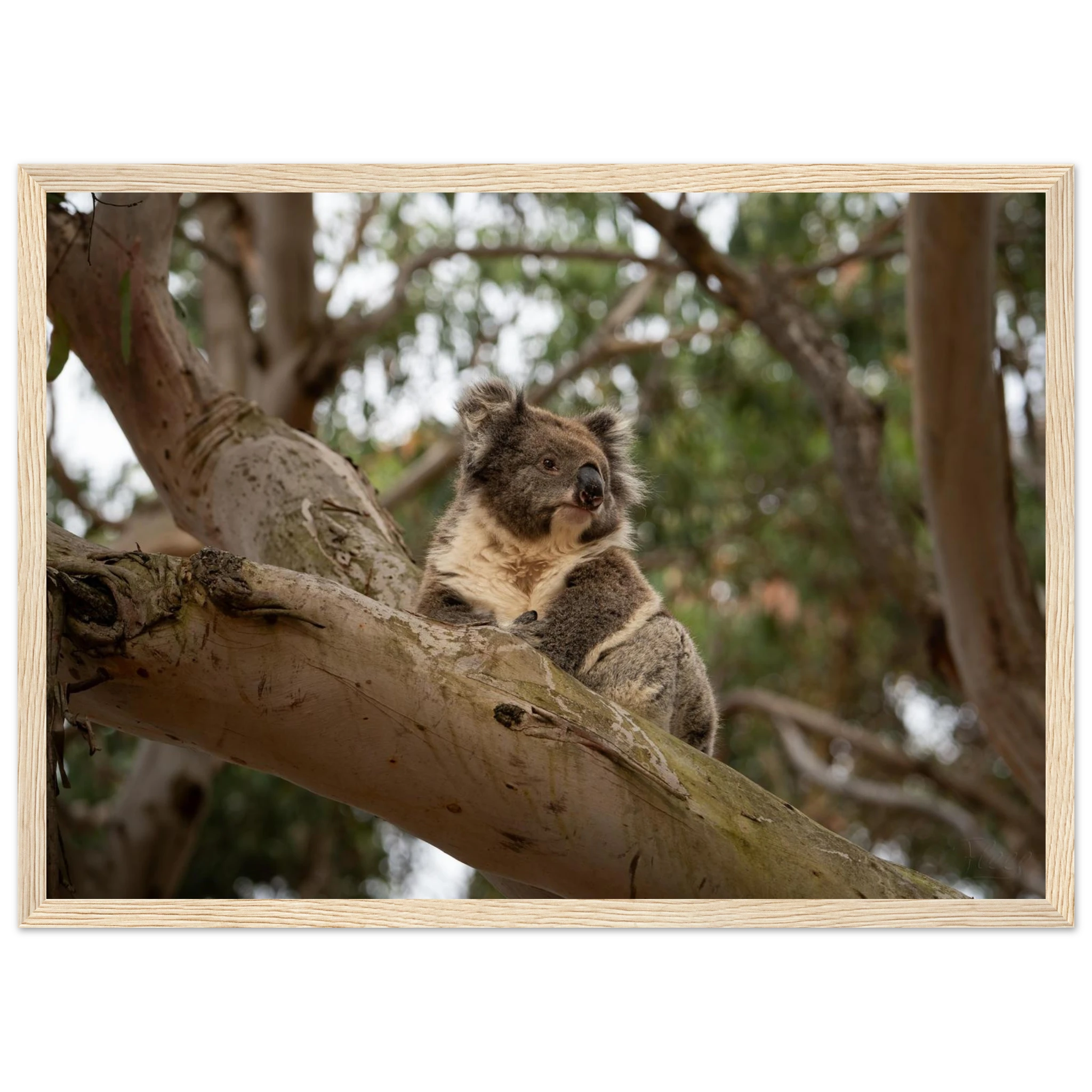 8c2690a1-9e94-4f0b-ba32-19bc012143af