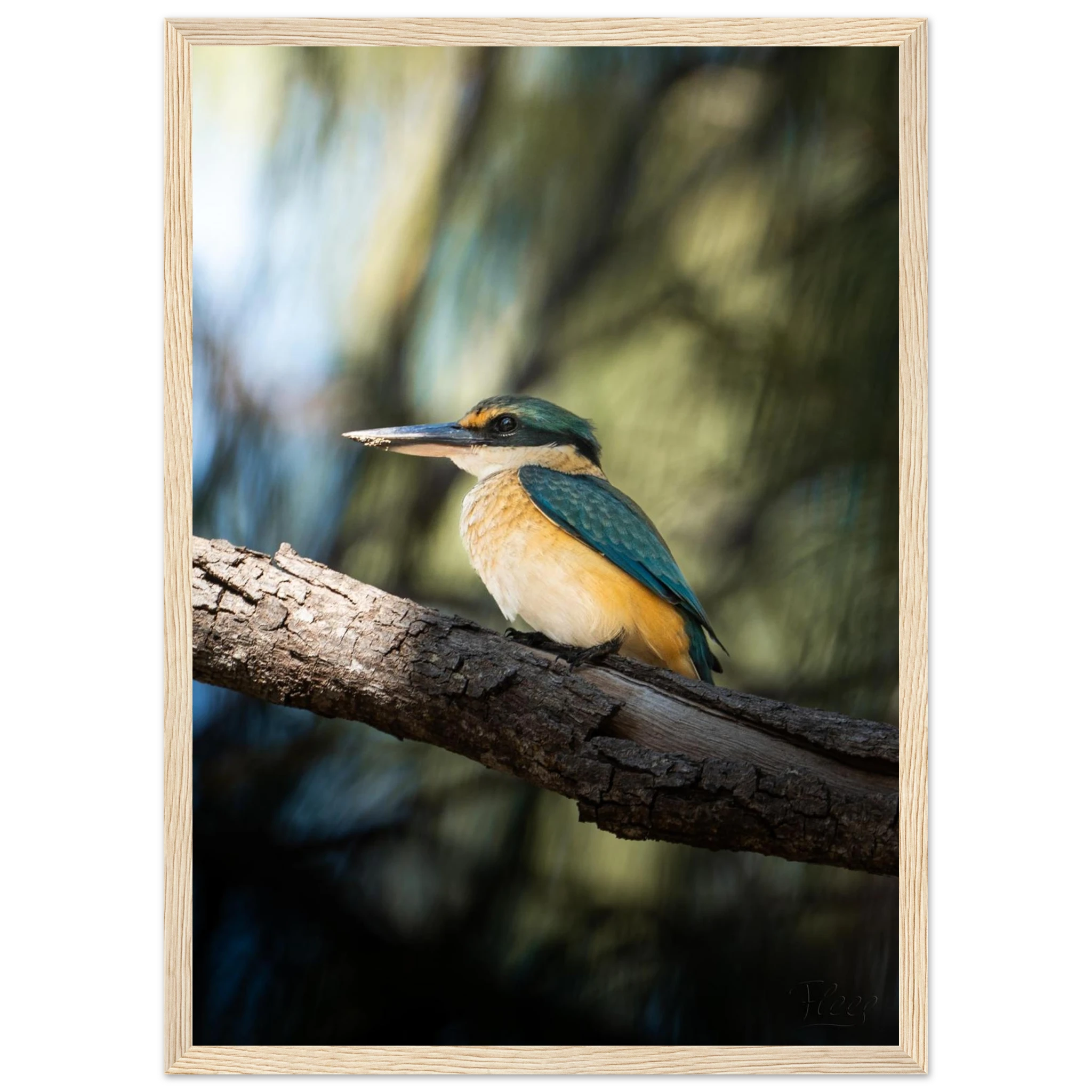 8c5113b5-0691-4a65-b421-9e6974147b79