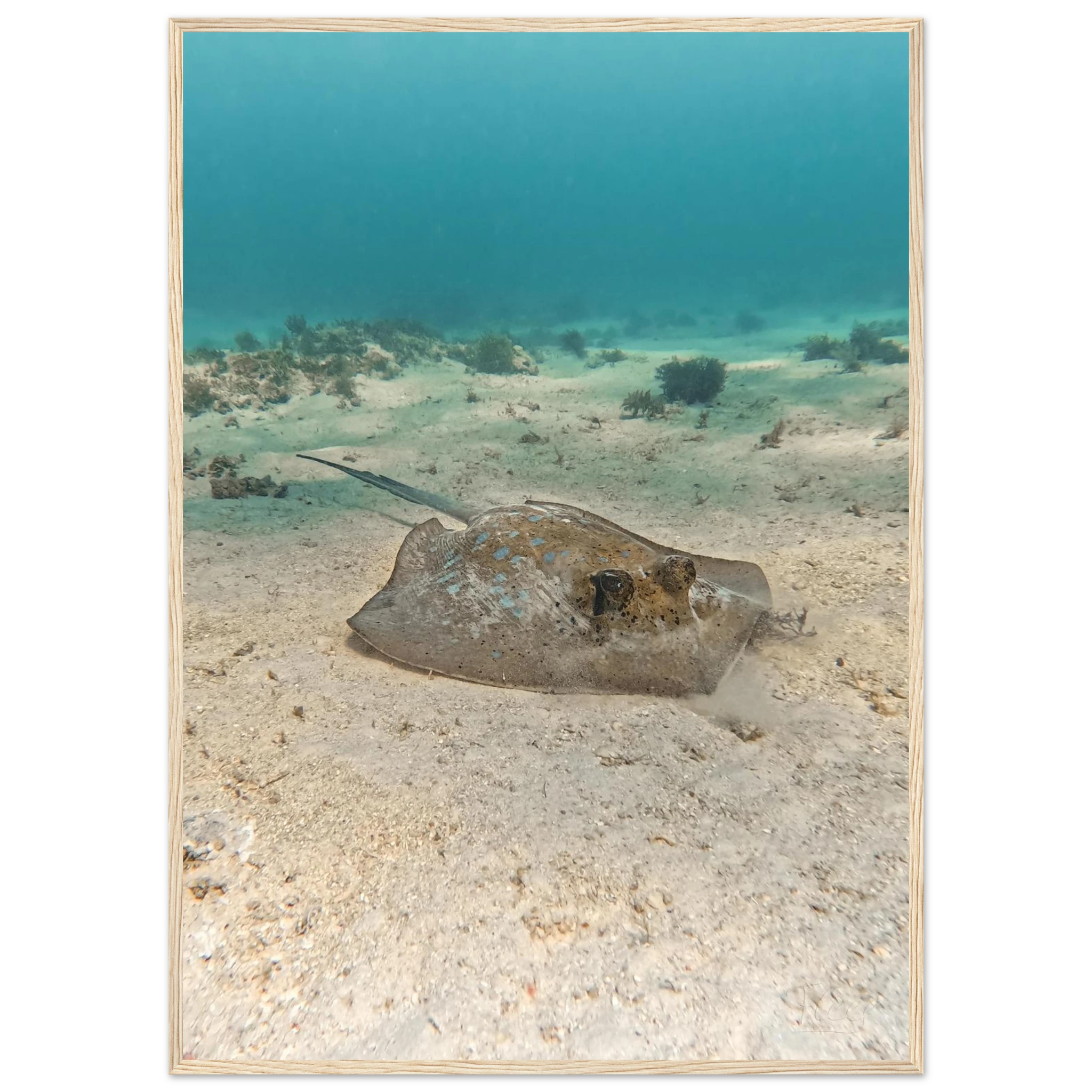 8cdc2f9b-736c-405b-b231-28abdf734585