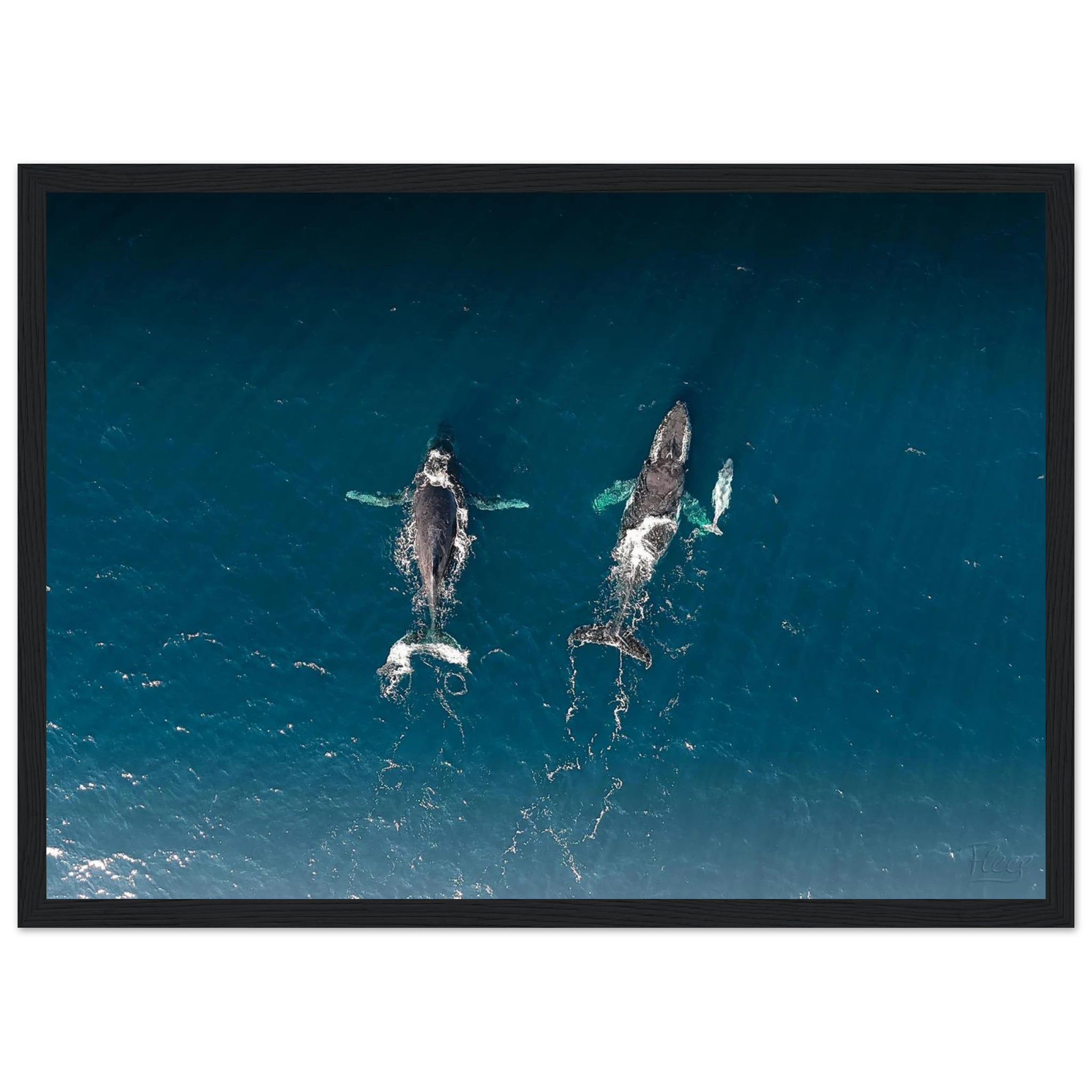 8d02d4ae-b483-4c68-9e51-b63c1b68028b