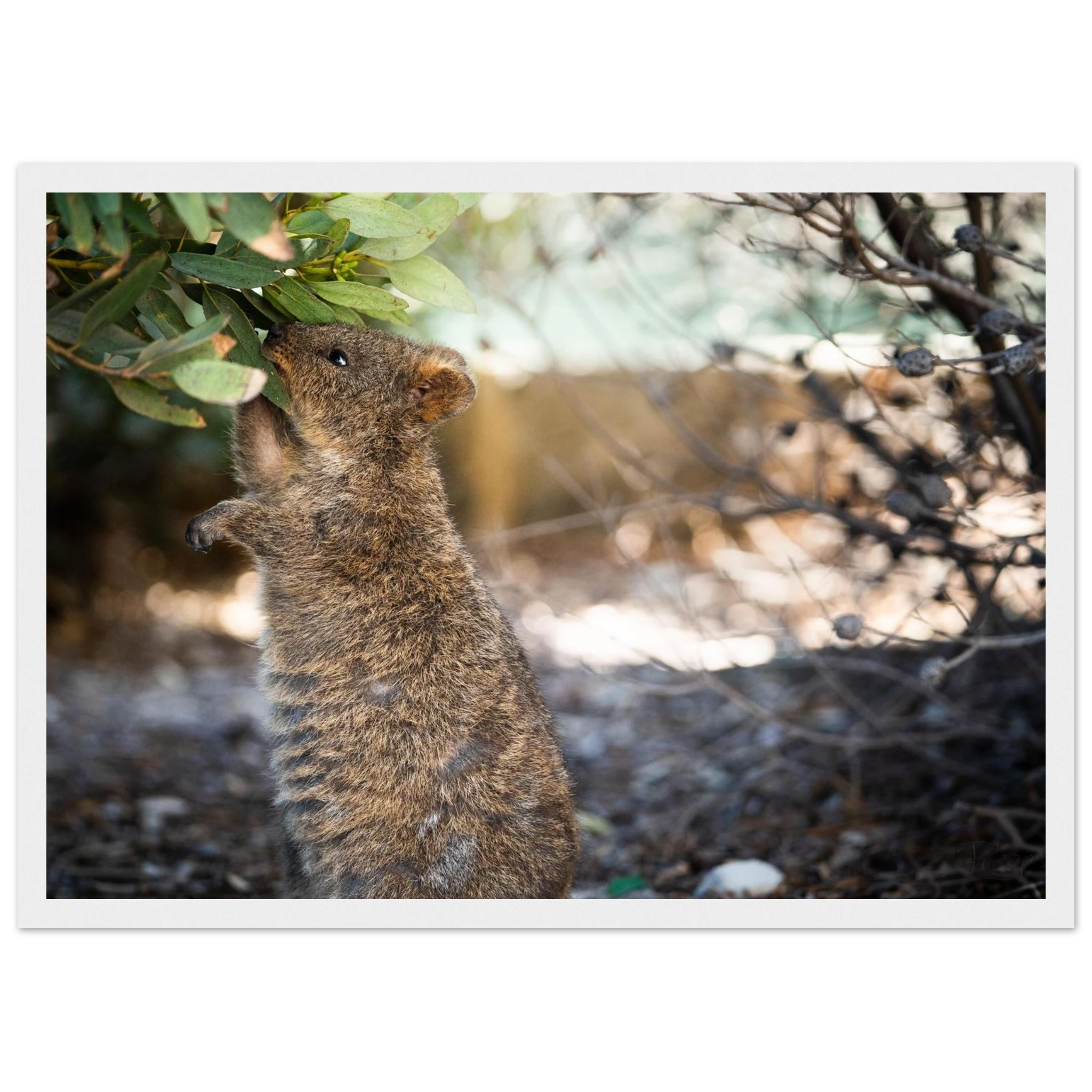 8d45b074-96b5-4200-b1b6-61415ad2a08d