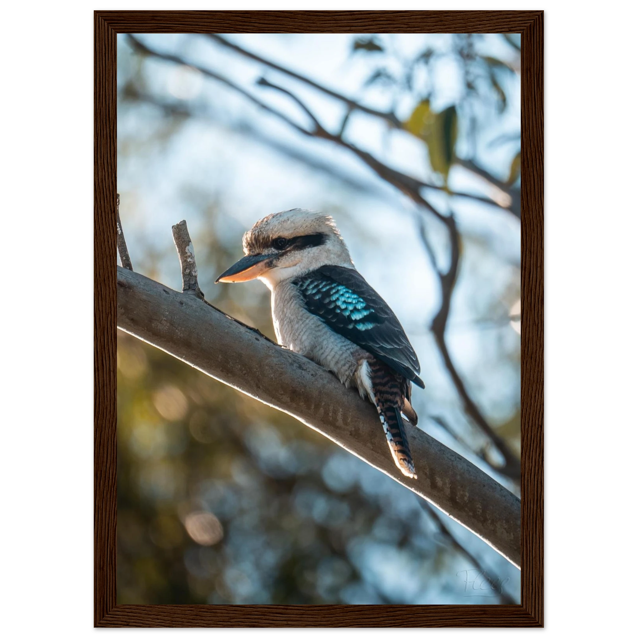 8df71e21-04ca-4cad-a61d-f782d3046d72