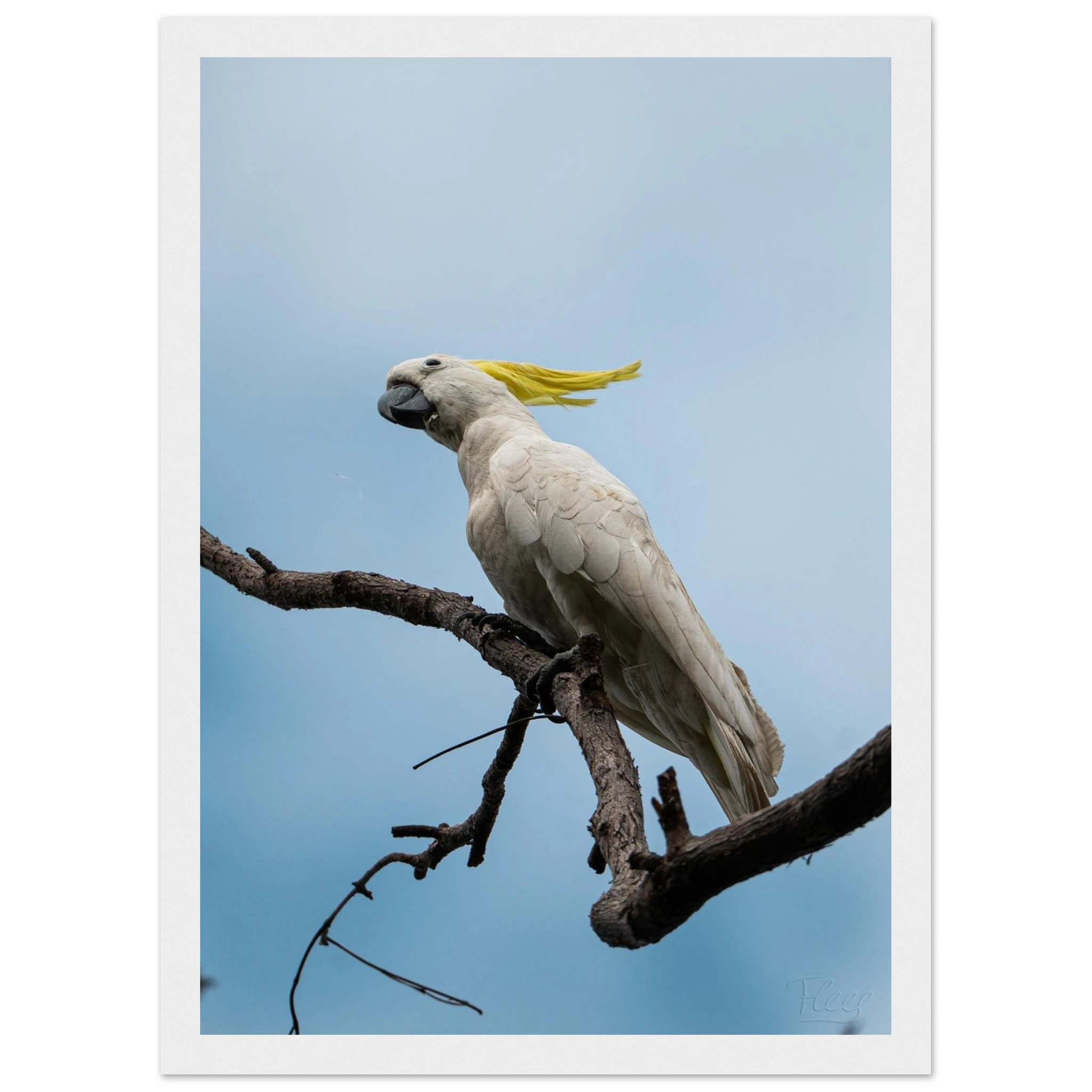 8e443e03-1129-4b3b-9e7a-bc02f5bbb226