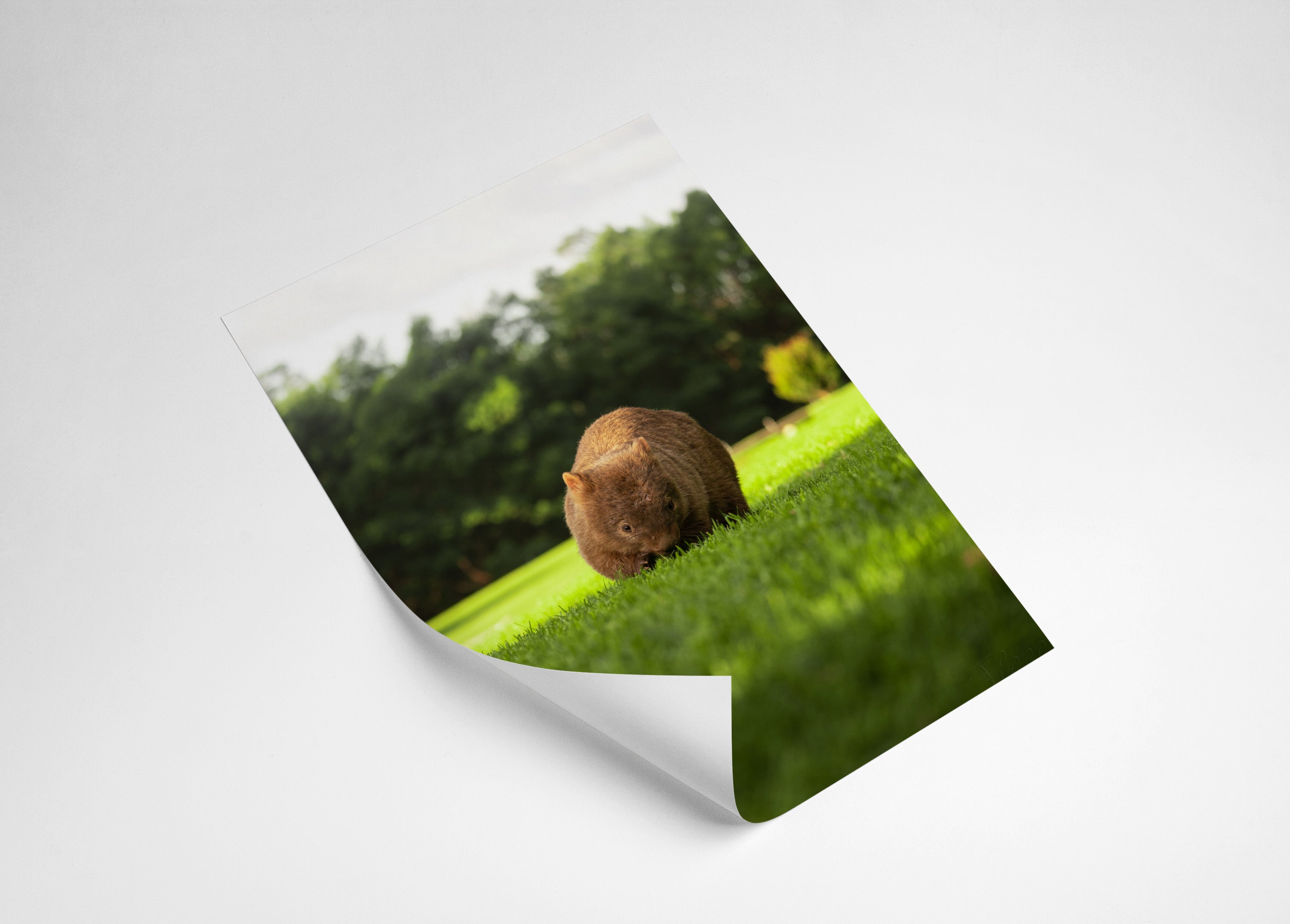 8e624b27-da48-4c54-8596-788cd5856bfa