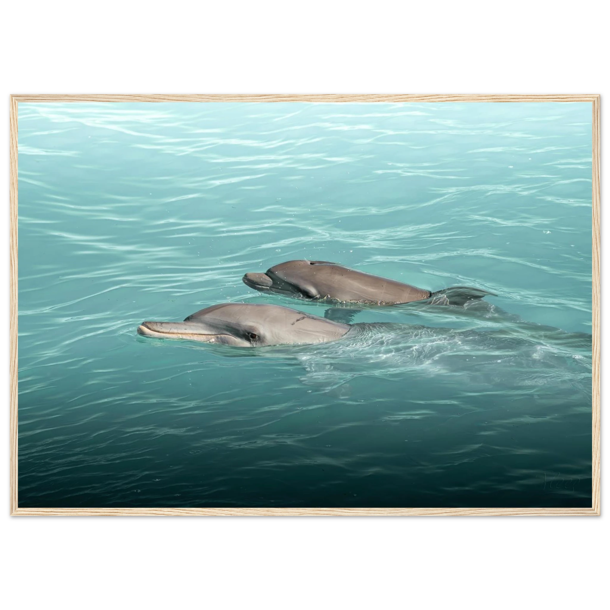 8faea5b8-d47f-4e18-9f43-ce7774adabf6