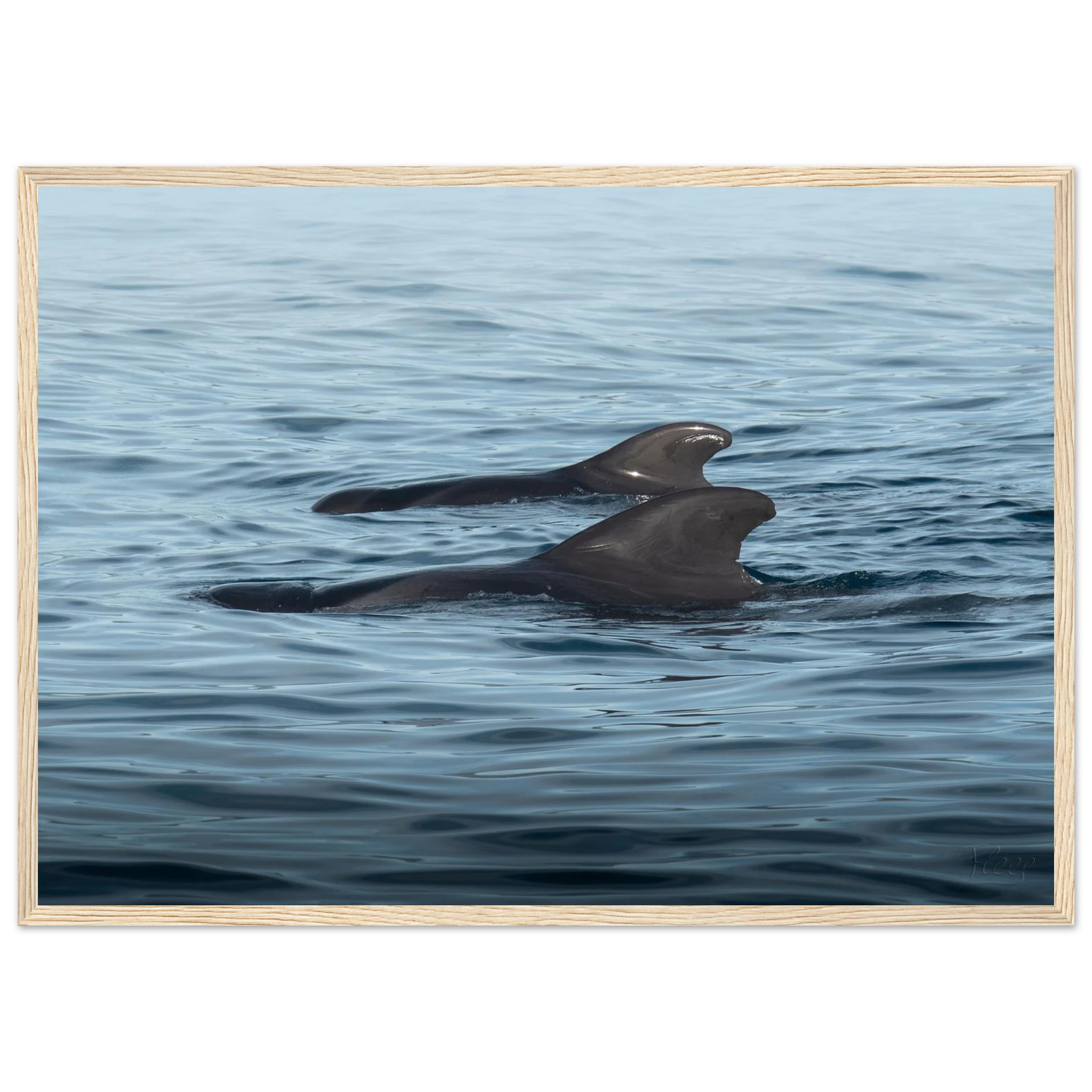 8fb94b3d-f45b-4cae-b11e-2b784e790321