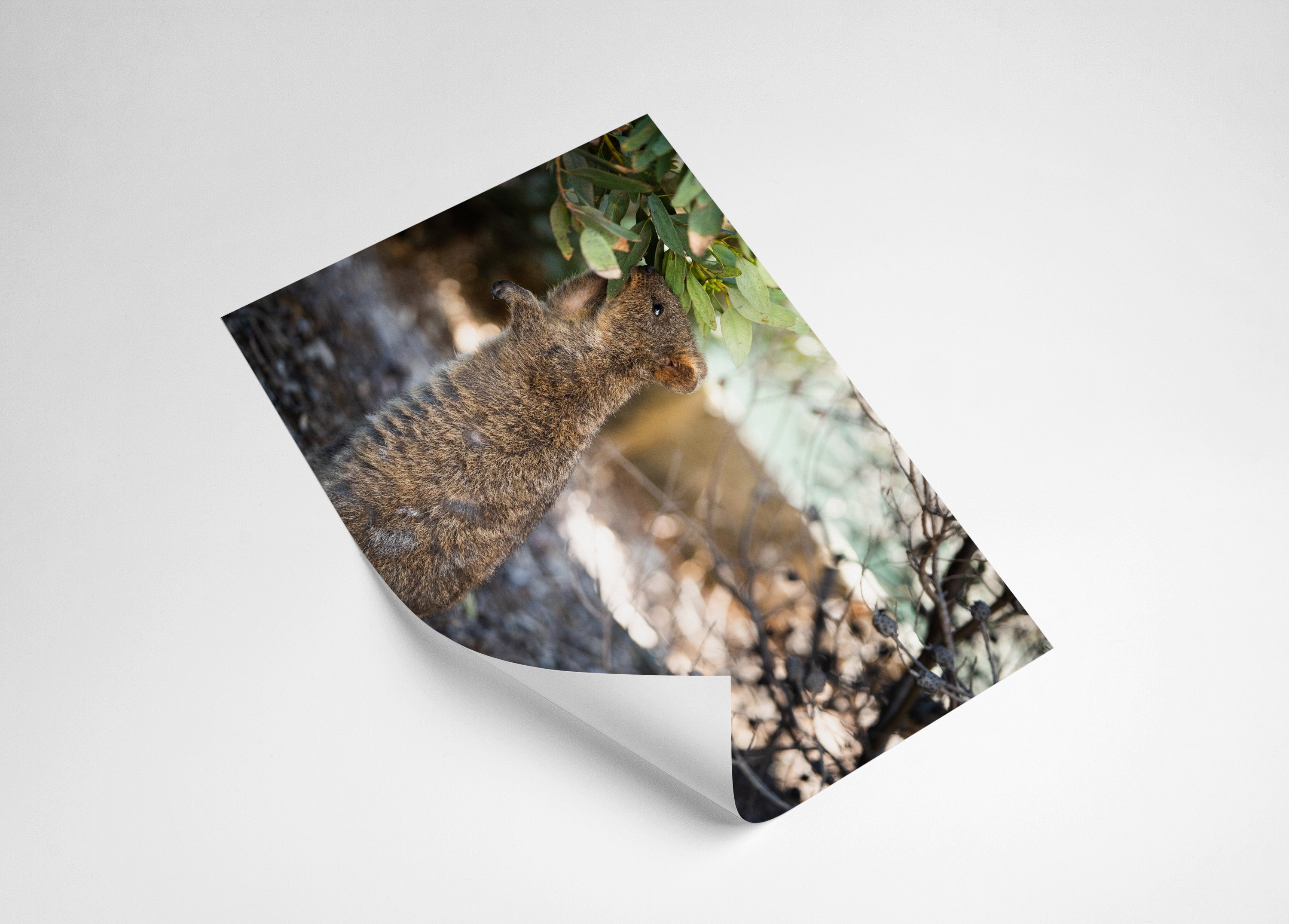 90067d5f-6270-4b64-a94a-5d136f29050f