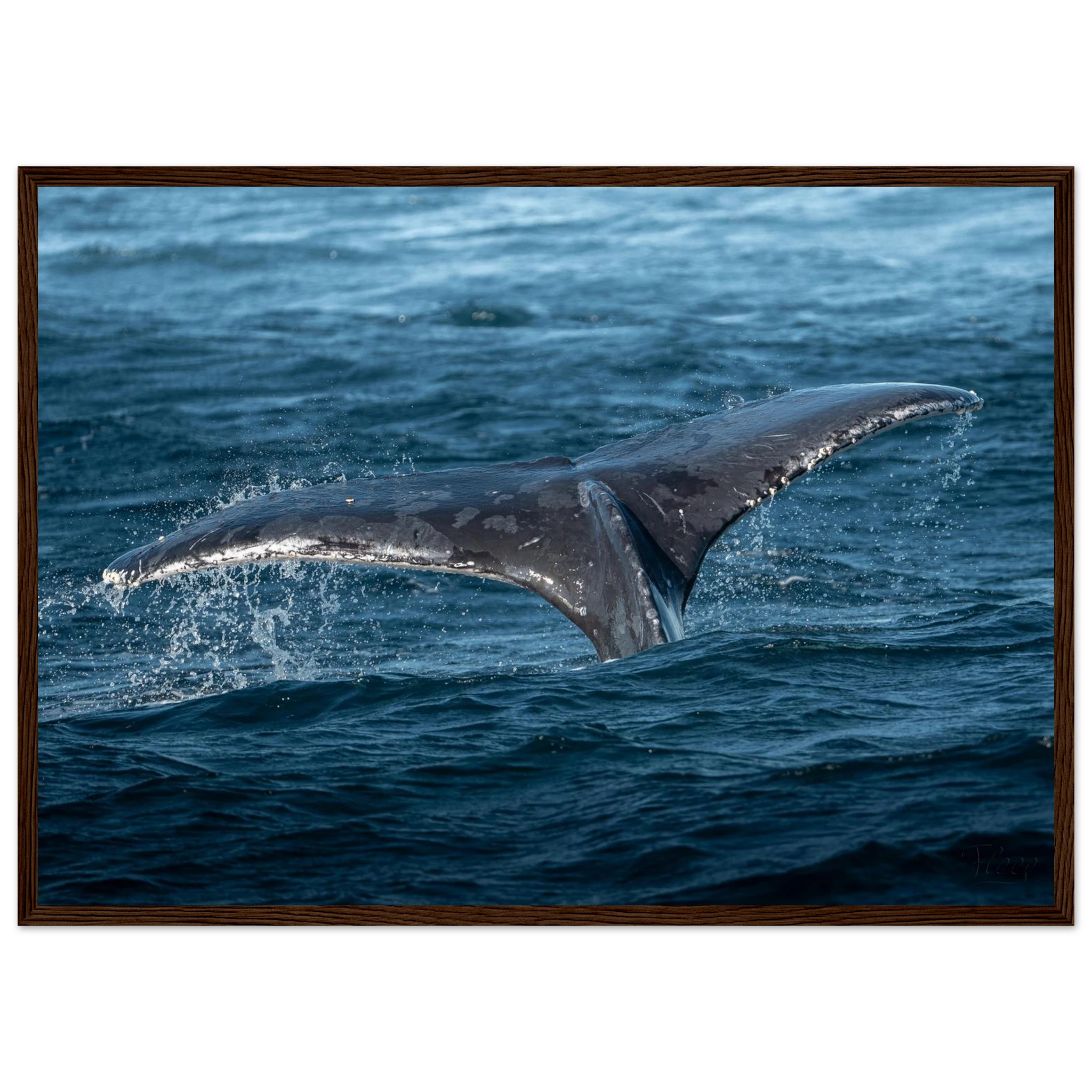 906b0c0f-1626-4d5c-8e77-7105ab9617b8