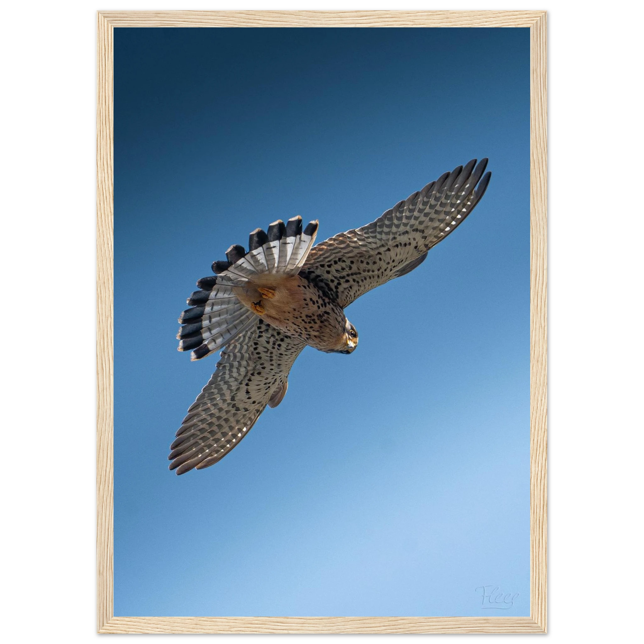 90db06a0-8ffd-4422-84ae-779f32a8ca6c