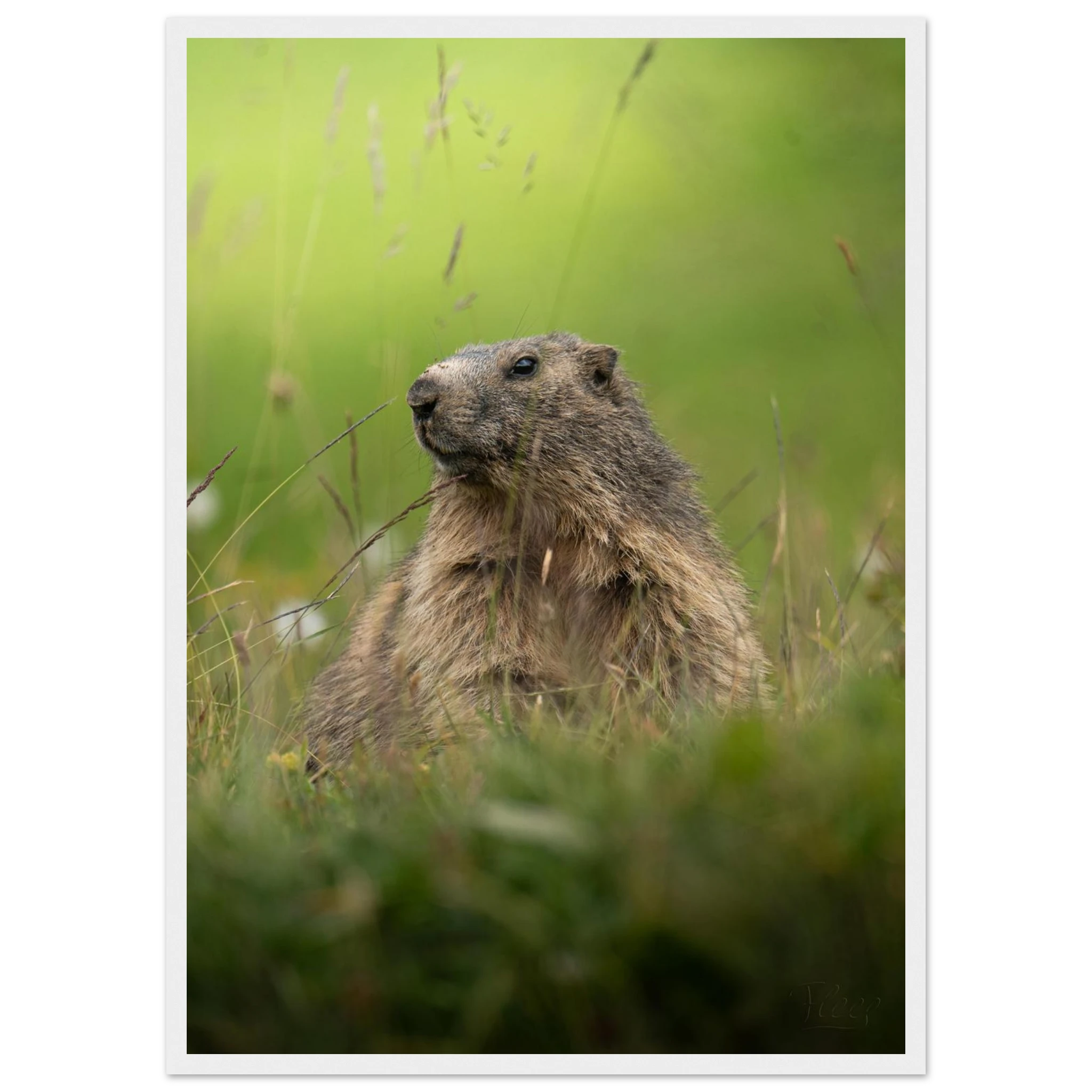 90f4773c-16cd-41da-b019-bb61e3de8ccc