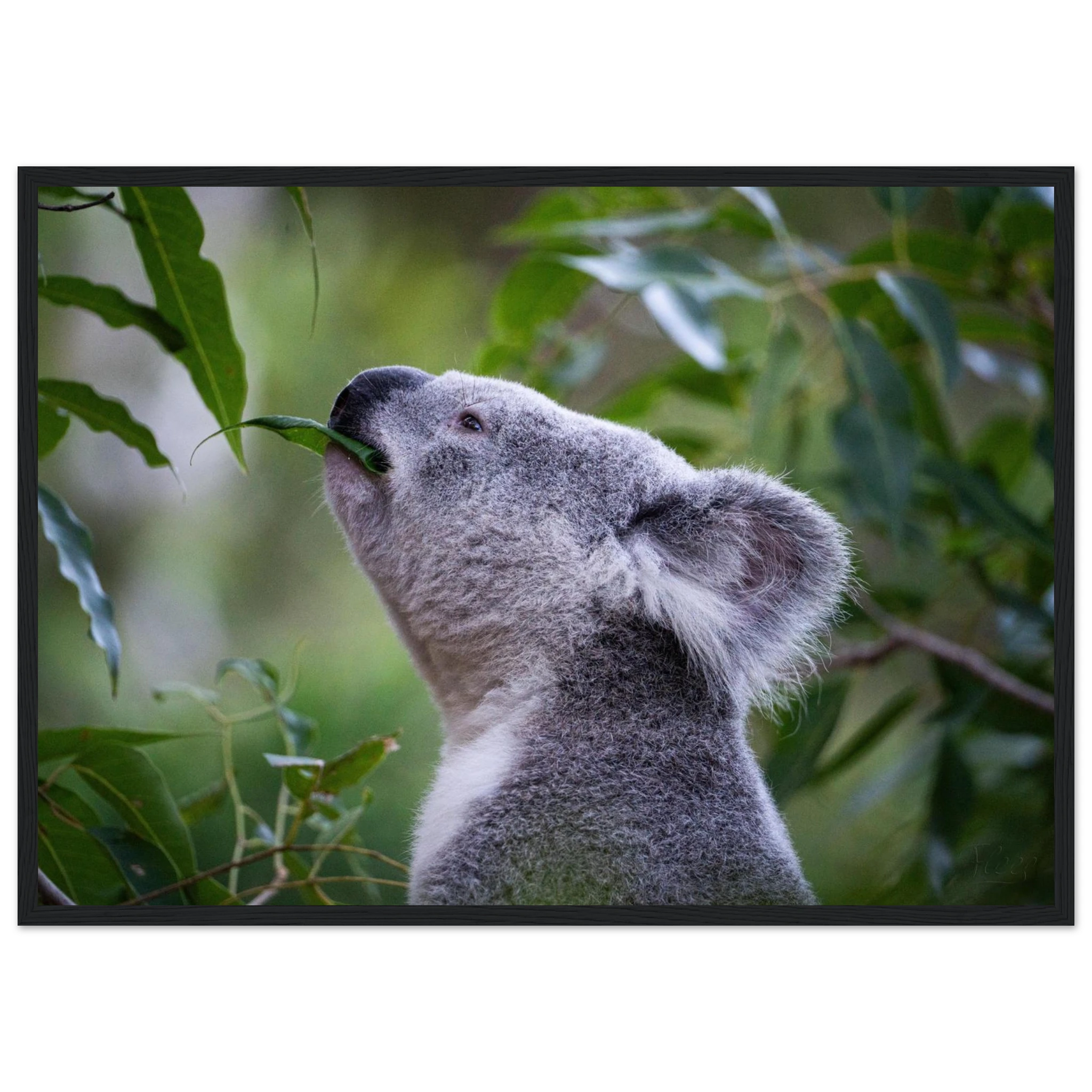 913e684f-e8f8-438c-8600-42a46e294b45