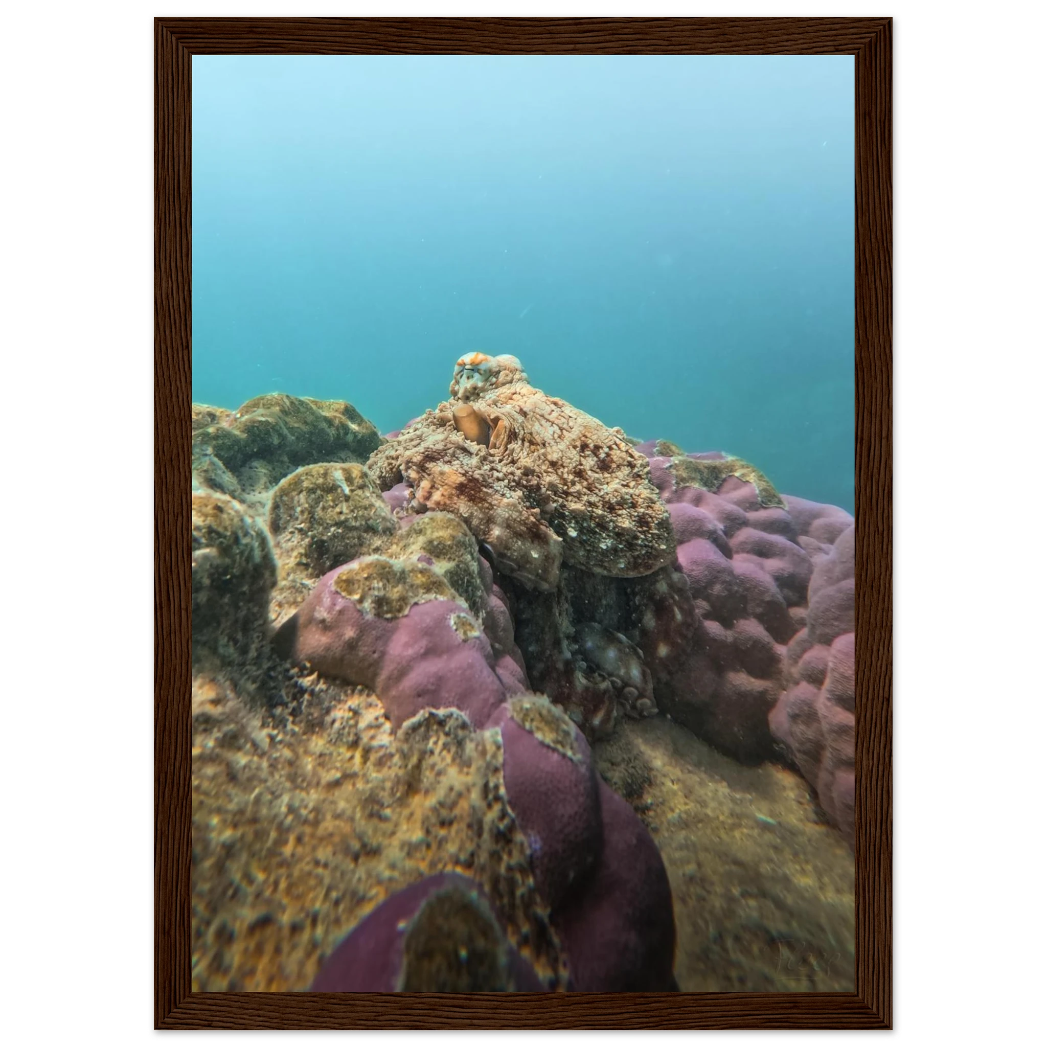 91f39f7b-12c0-4956-b974-19fc158205d3