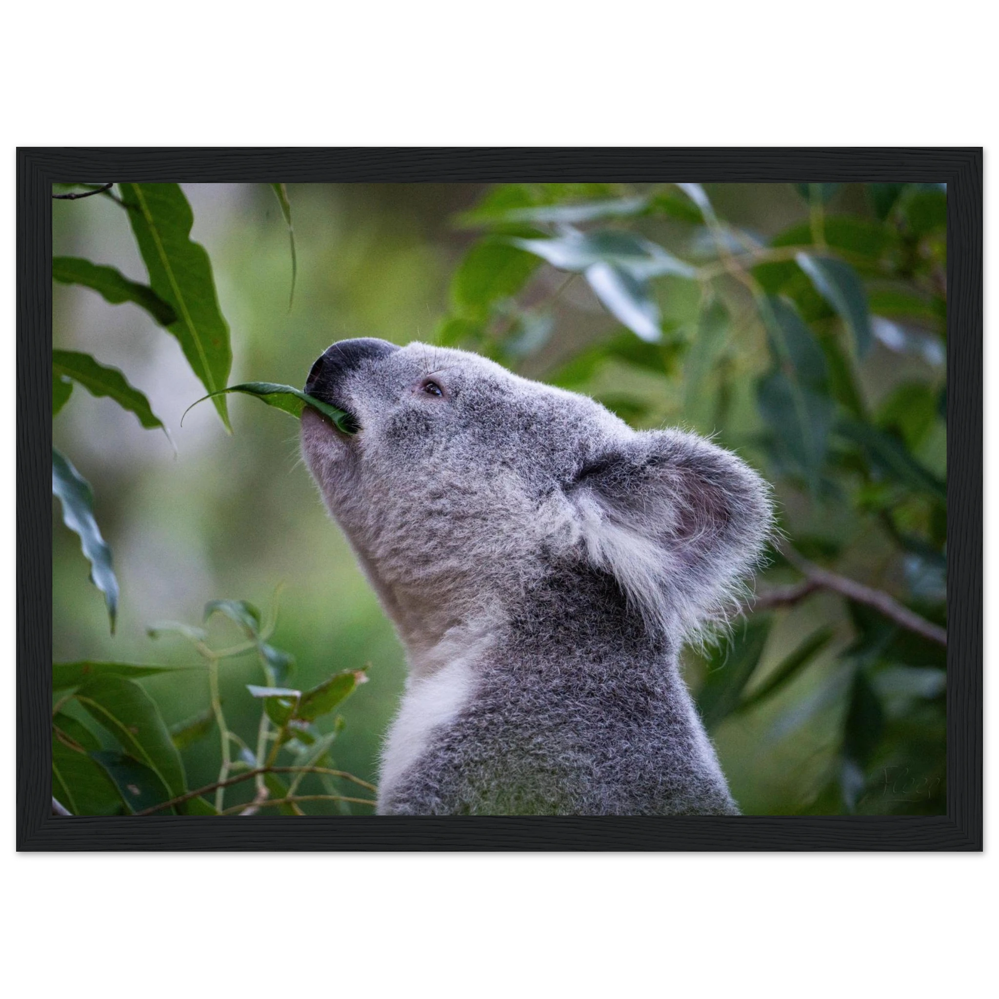 91fc947a-ff64-4804-bd9a-2b65563a0029