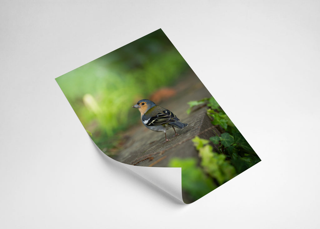 92309a0f-5993-4e4a-9b10-0d604315d8d1