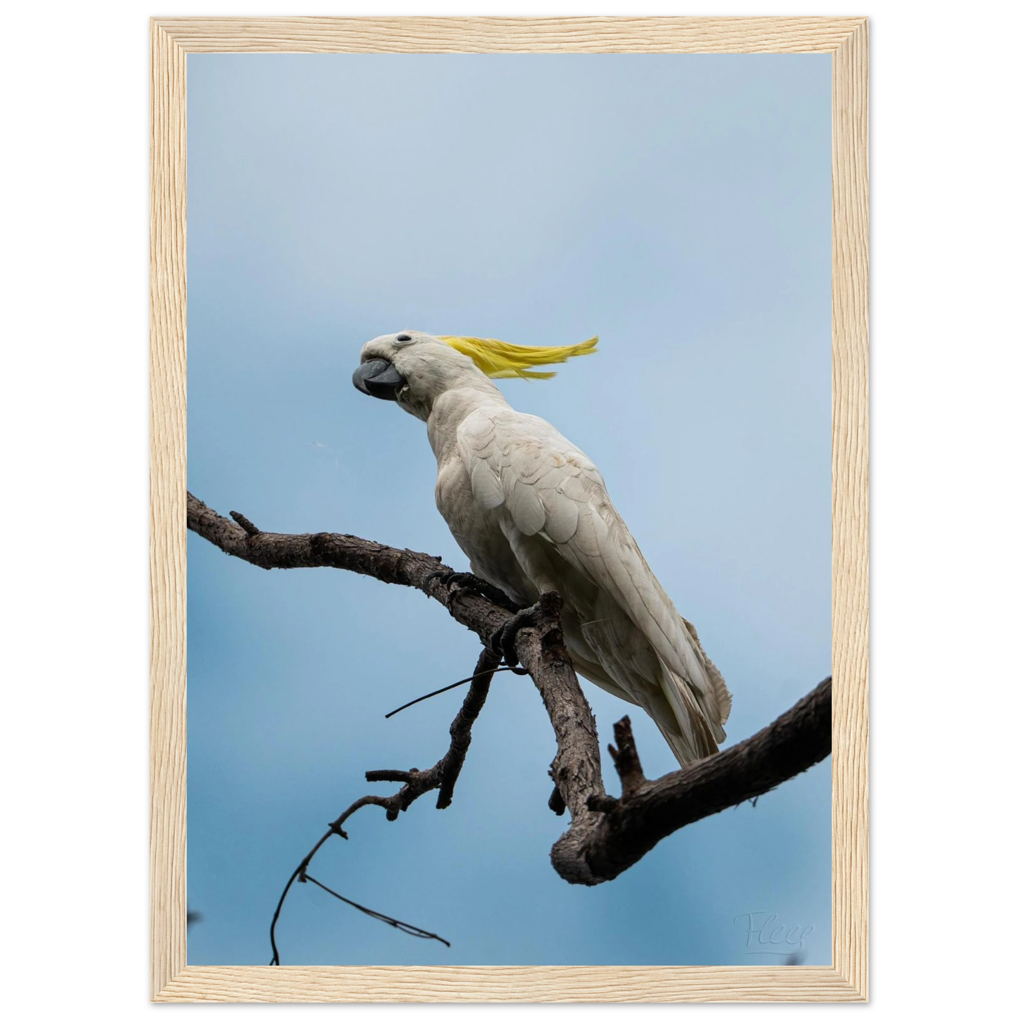 92b13d62-92e4-41d7-abc7-6d05f75c9dbb