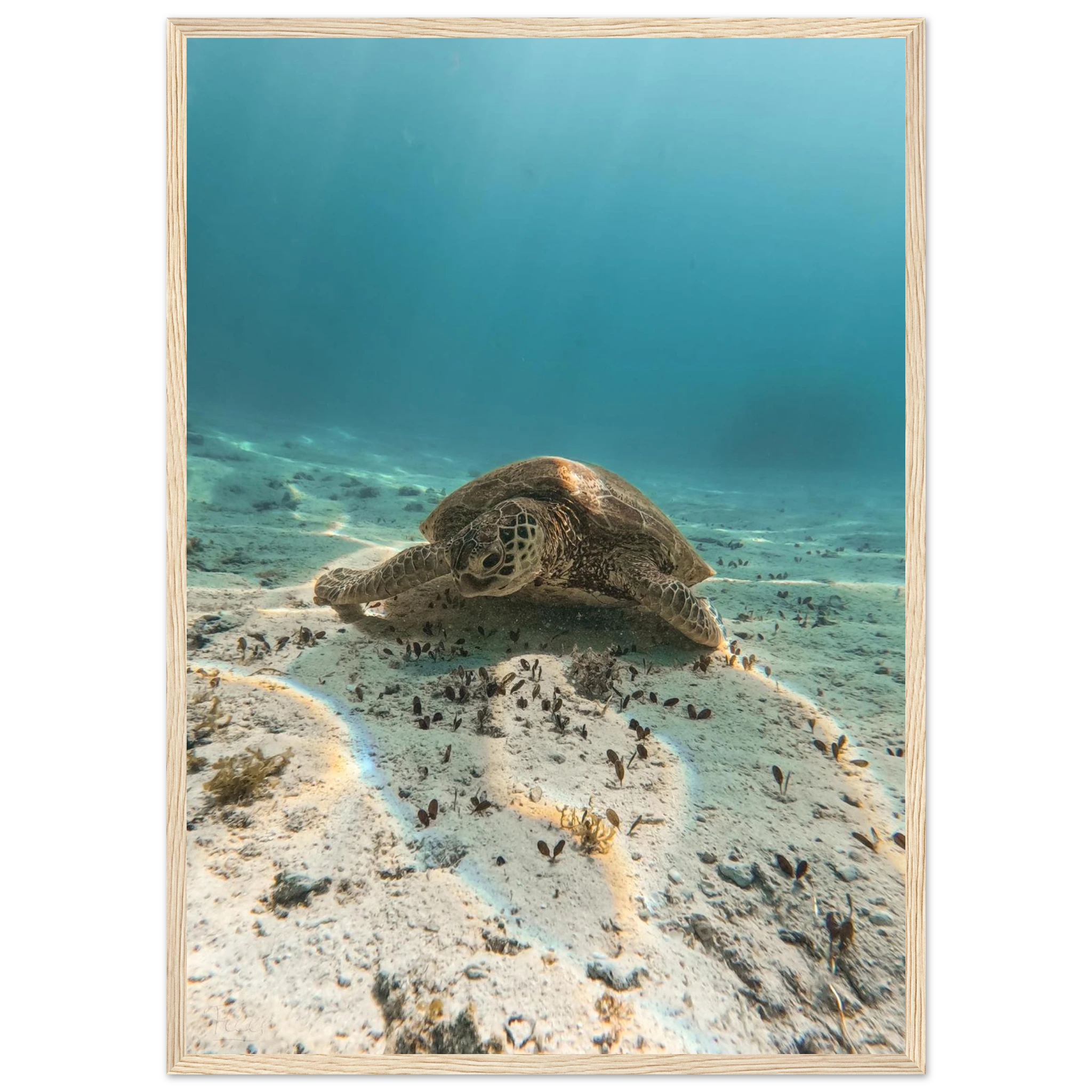 92e7c4c2-a758-4885-af6b-05100faf48e8