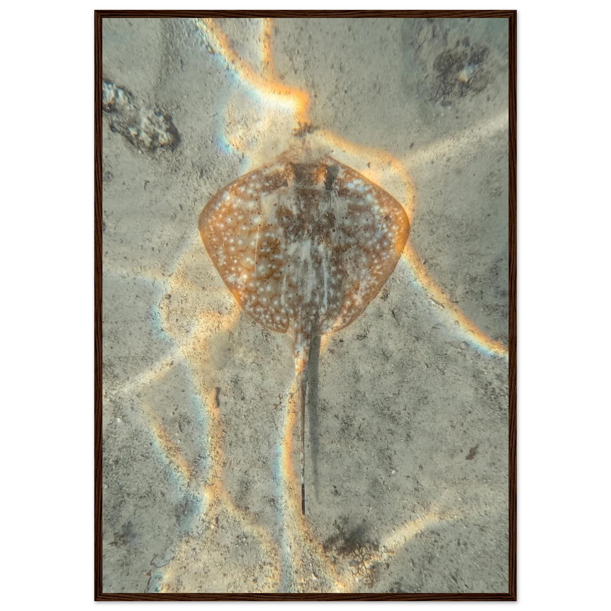 92ff306a-b835-4237-8429-c21f4d9abef8