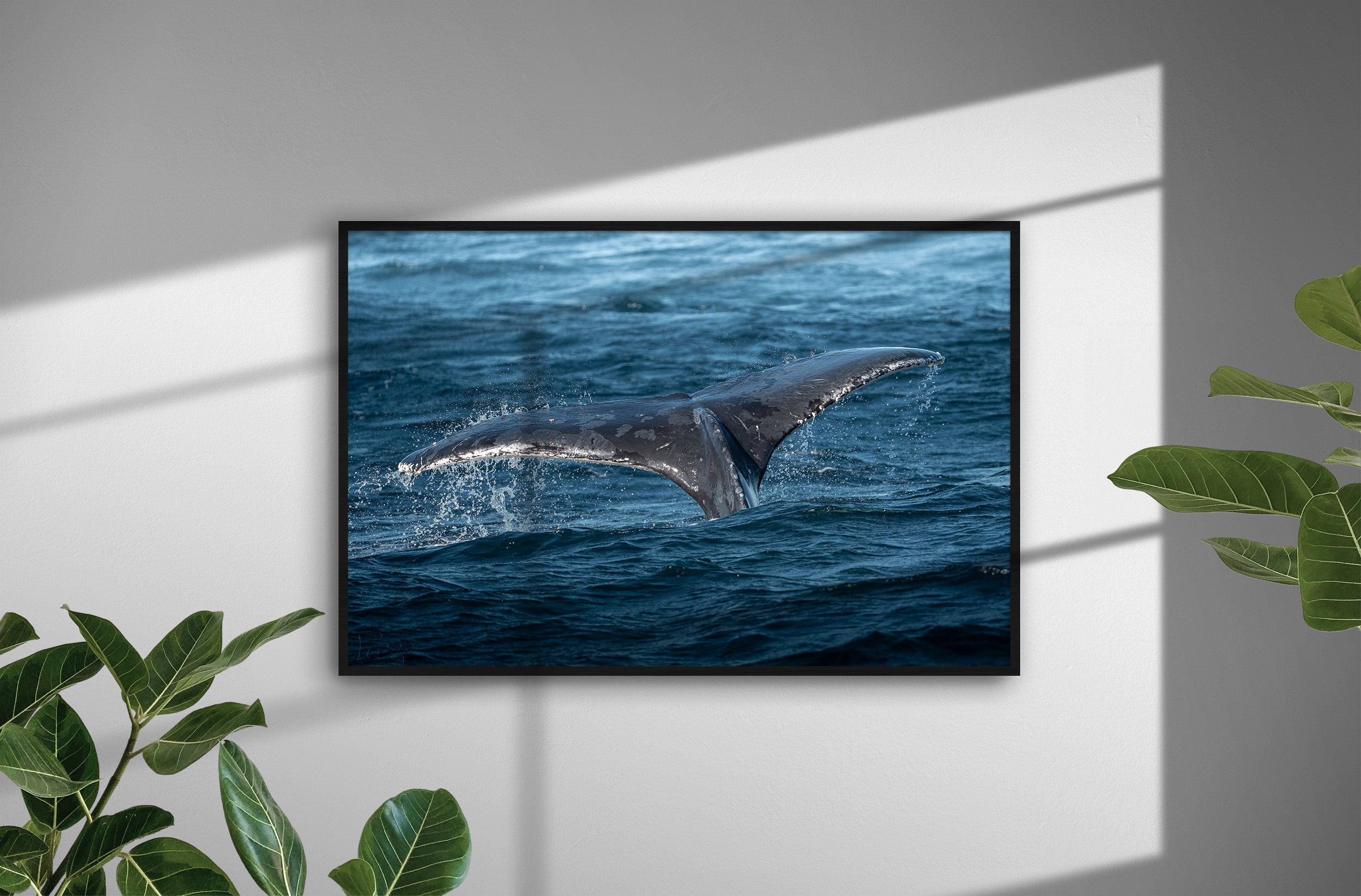 93114bae-d37c-419b-92da-9e81cc08ae83