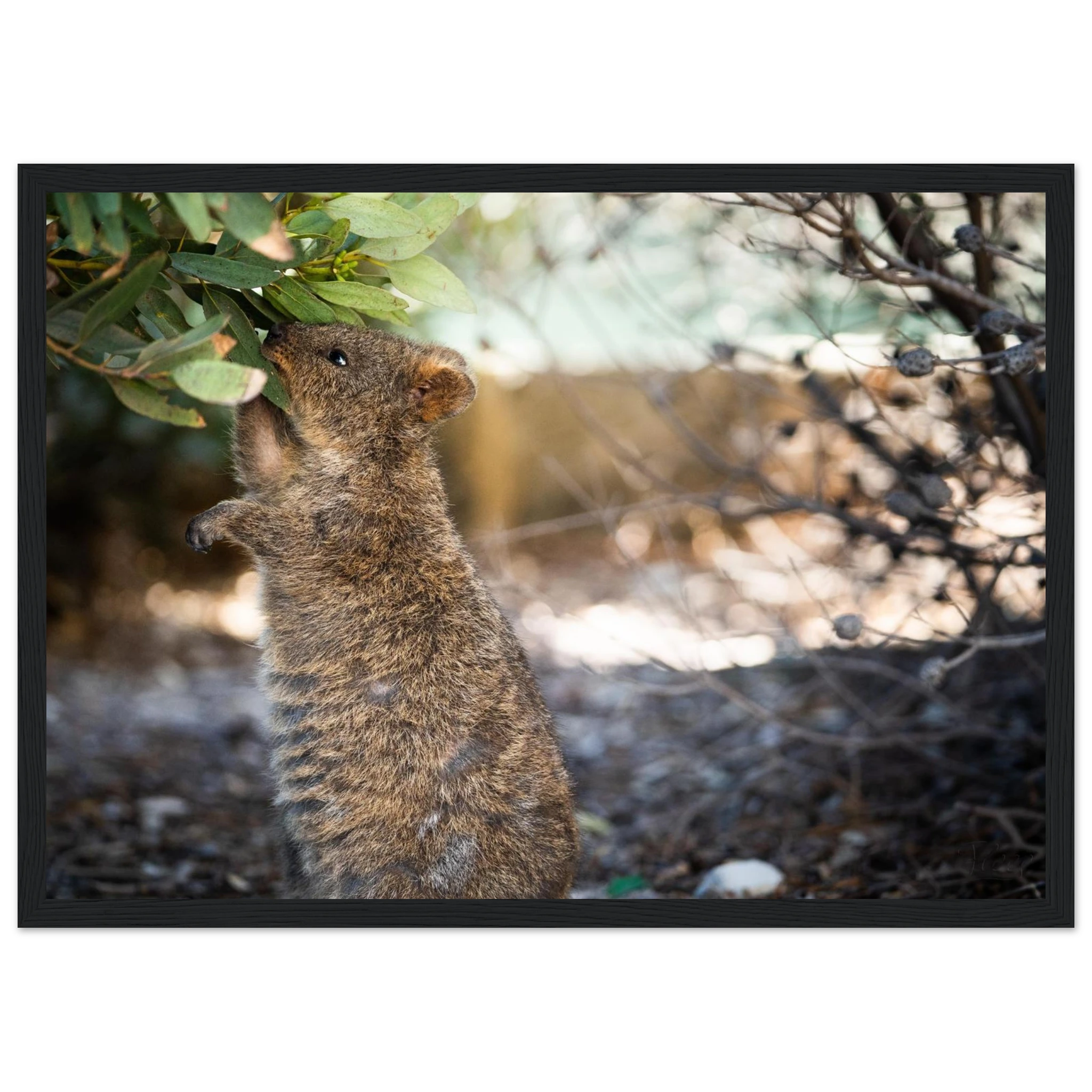 935addb0-c77d-4fa0-9200-32af5fbbe6c3