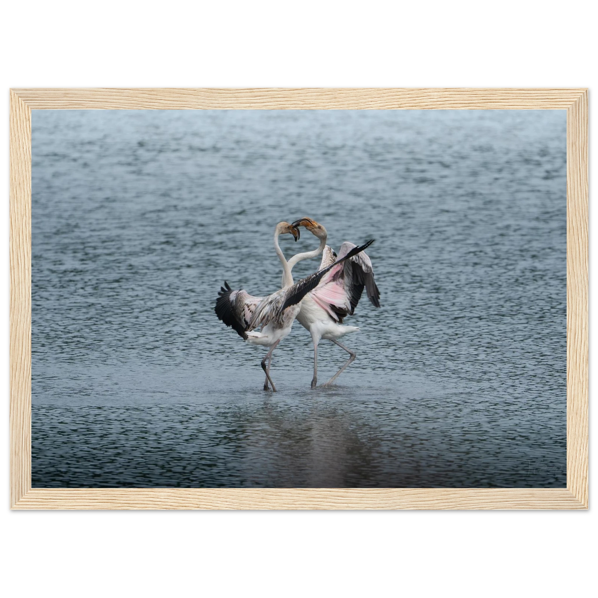 93ad2cb5-62f8-4b6a-8ad4-d60c1227d931