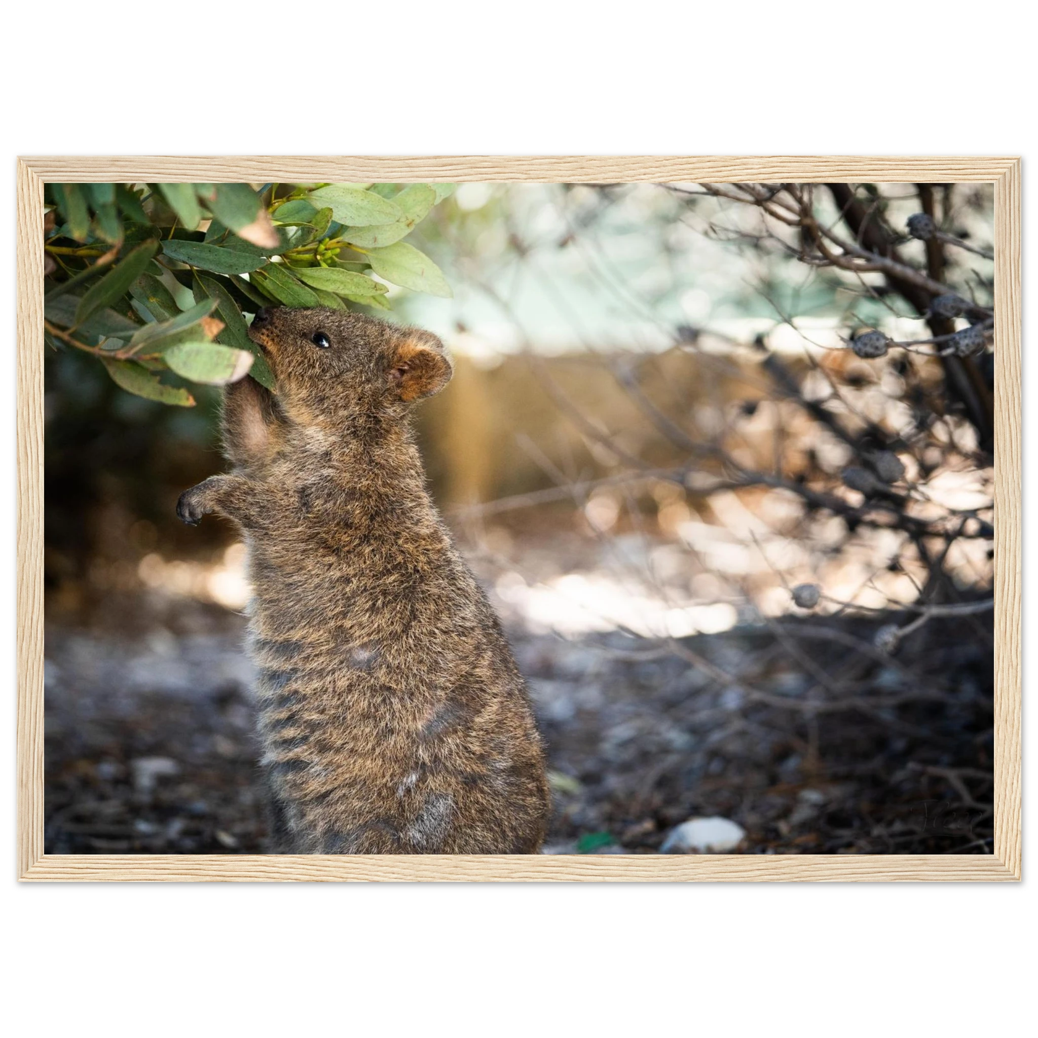 93bd66c9-a8b1-4022-9e9d-db6f5d189669