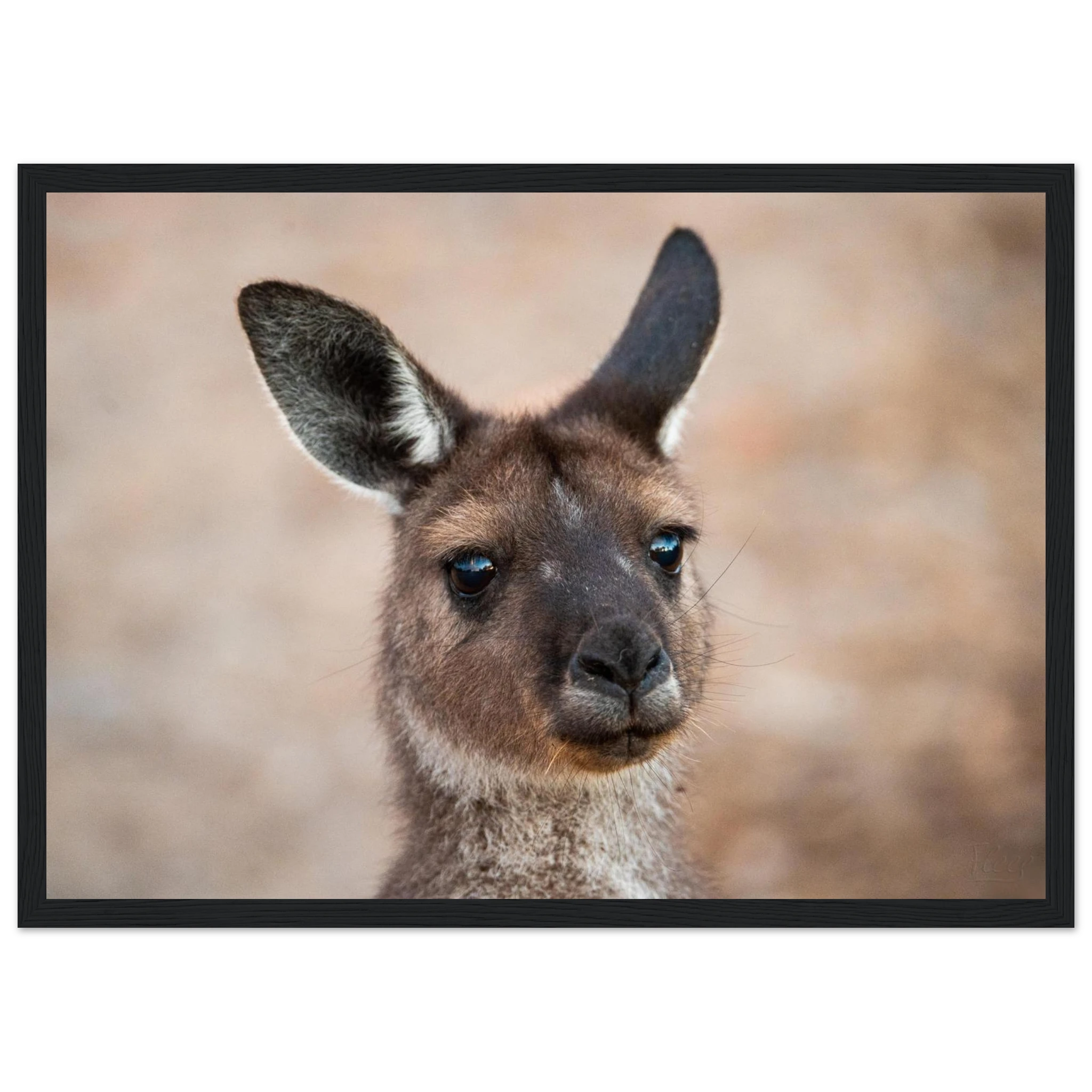 94002bf0-fce3-428f-a0b0-4acc3ef42a4c