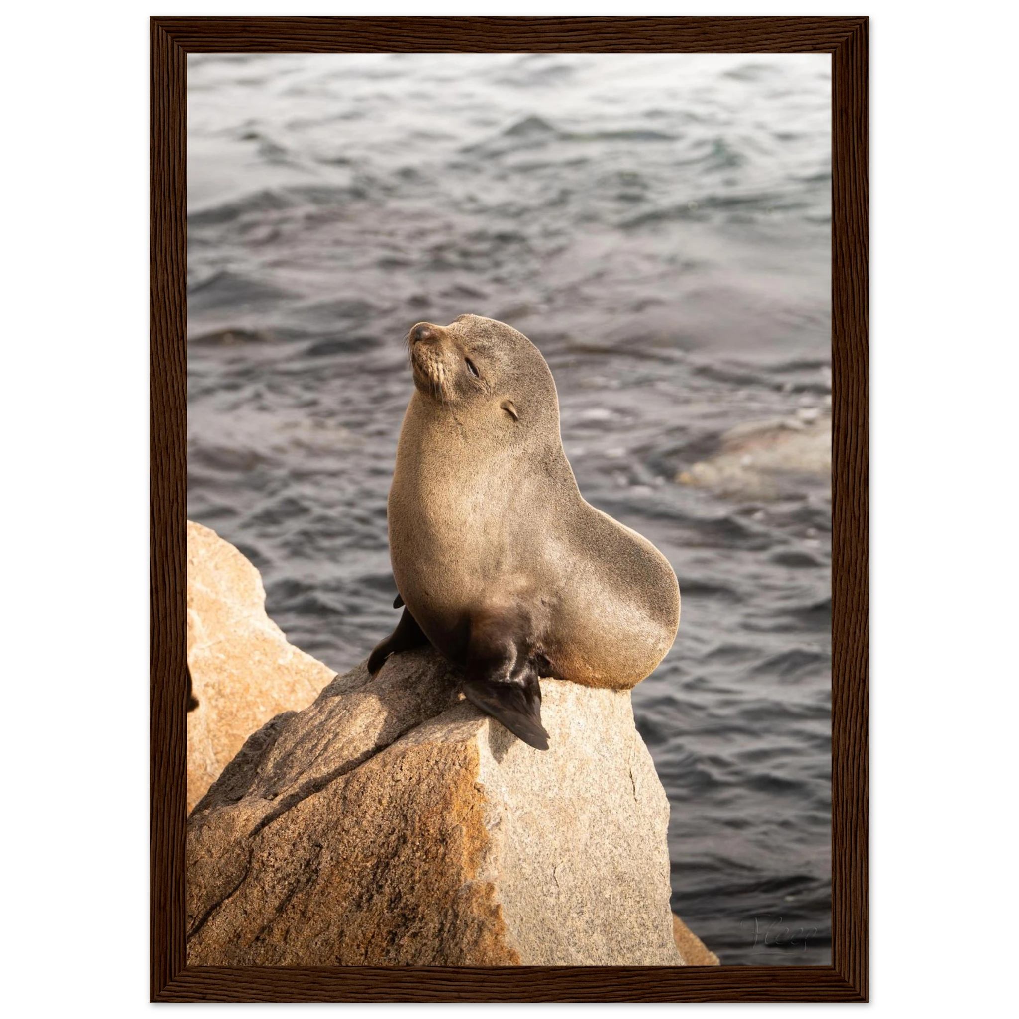 94864a8e-463a-43d9-bf4d-0c578926b7dc