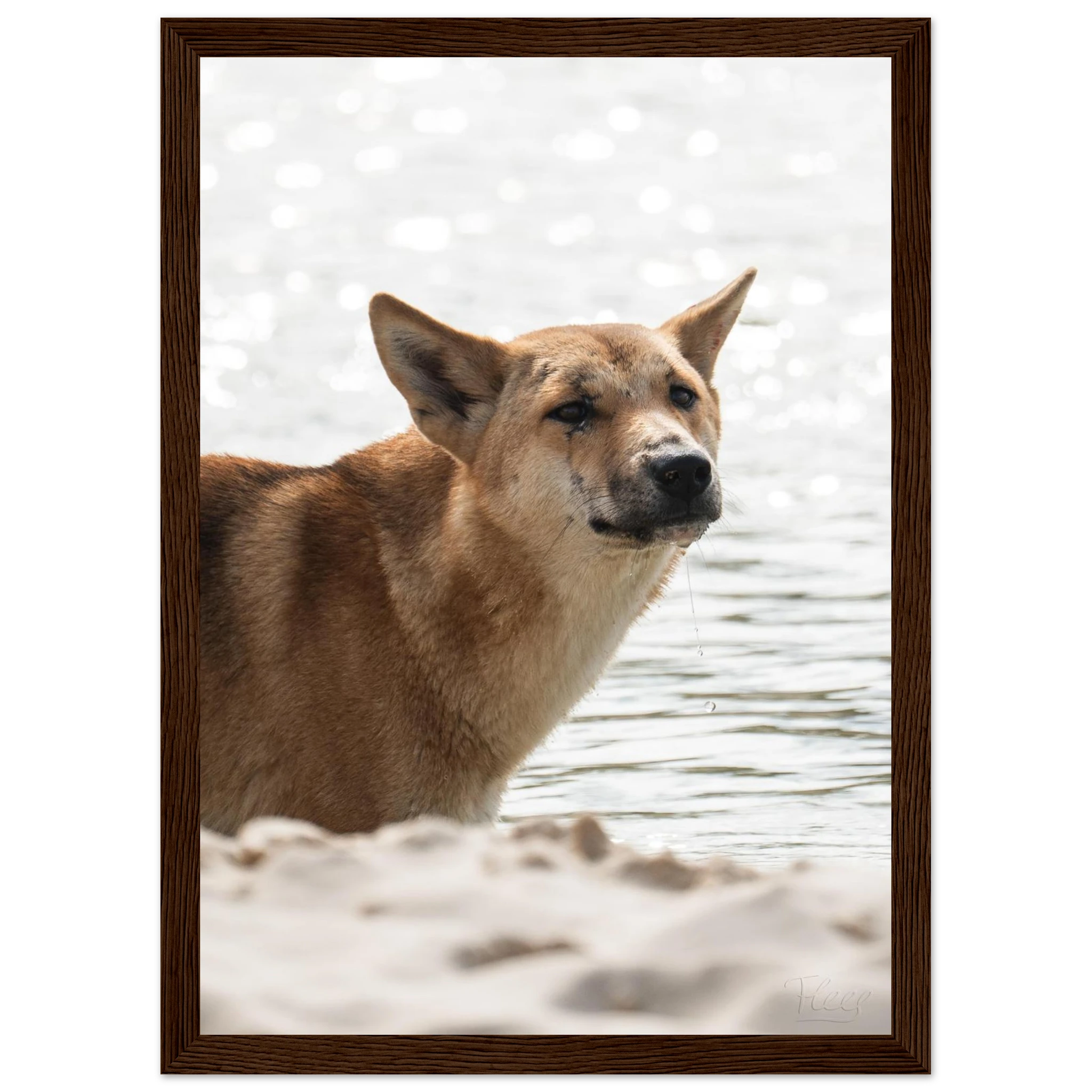 94c278eb-cbaf-4a63-8cff-711ba24d9b38