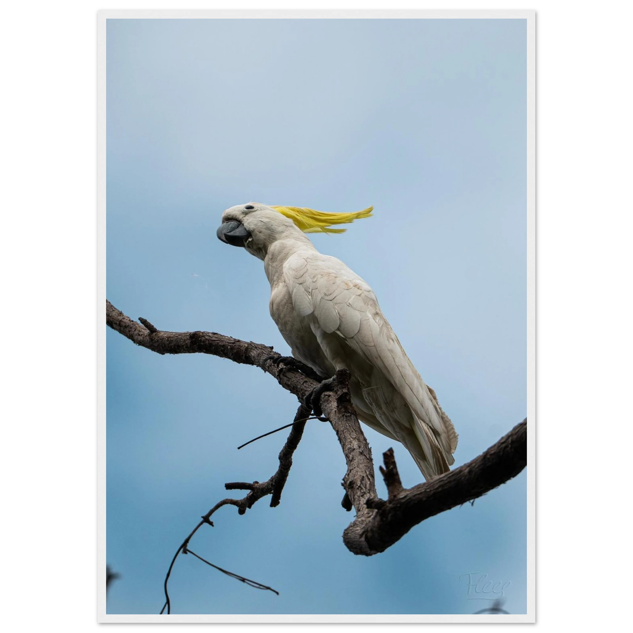 9519c594-83e2-4e9f-b940-efa4e206088d