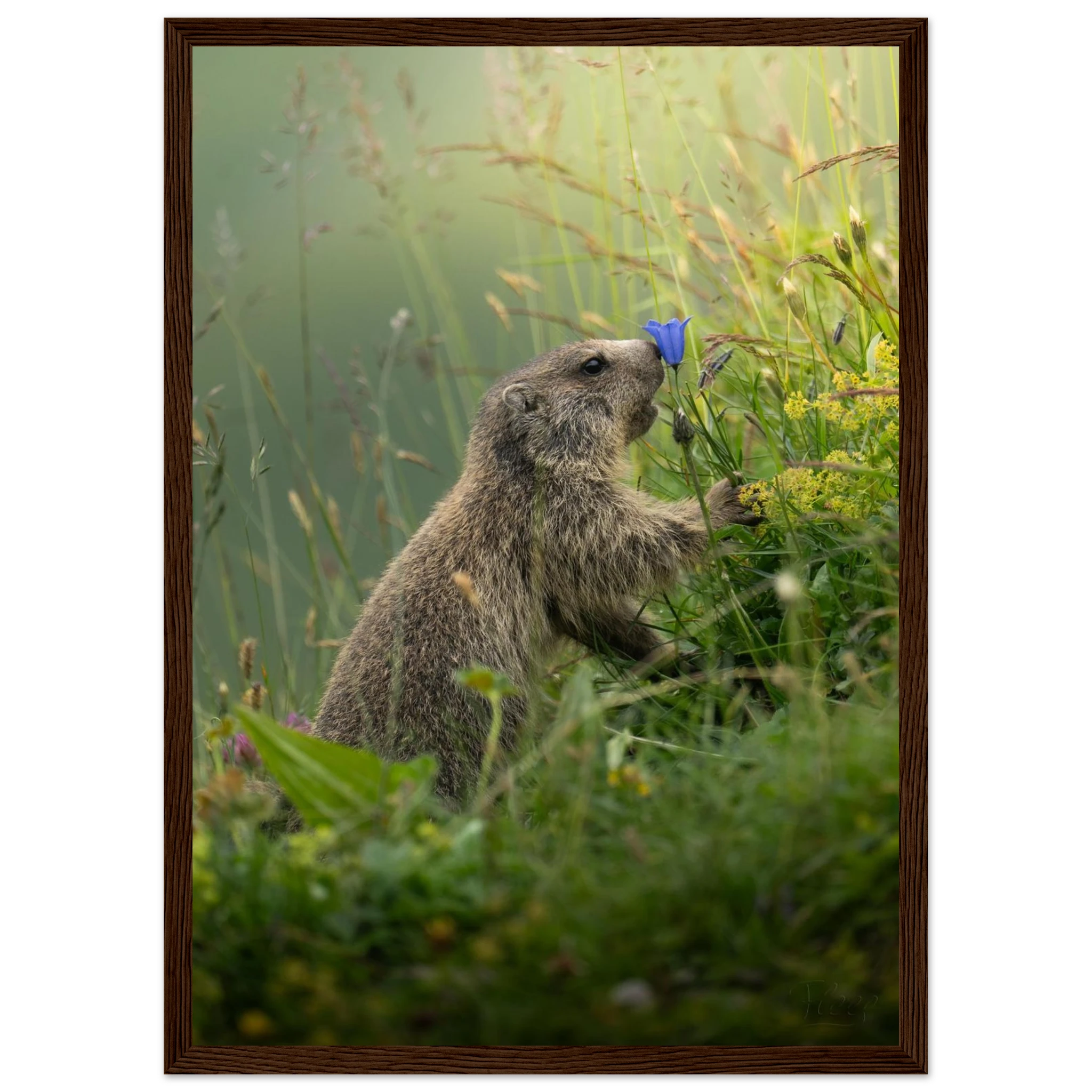 954c1034-b006-4c87-b117-a95473471276