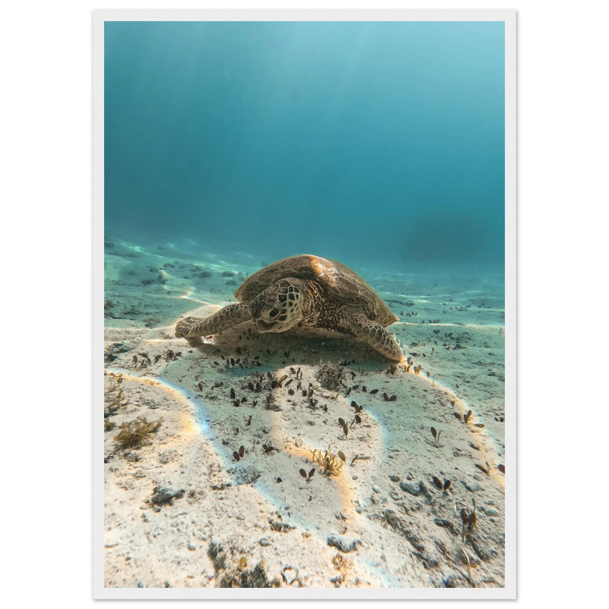 957d4596-58e0-4f97-b7f5-c9c7786f1f91