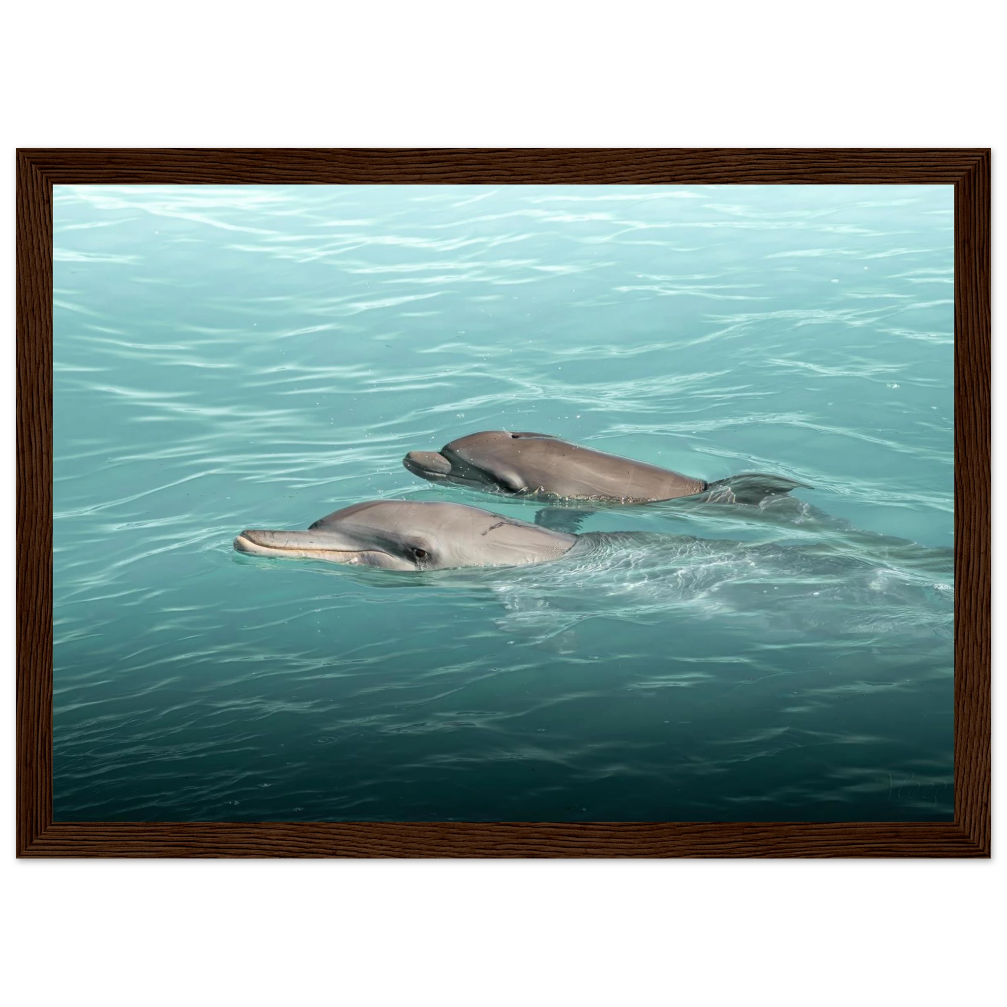 9583e5af-2665-437f-8ca2-76ef66a9bc9a