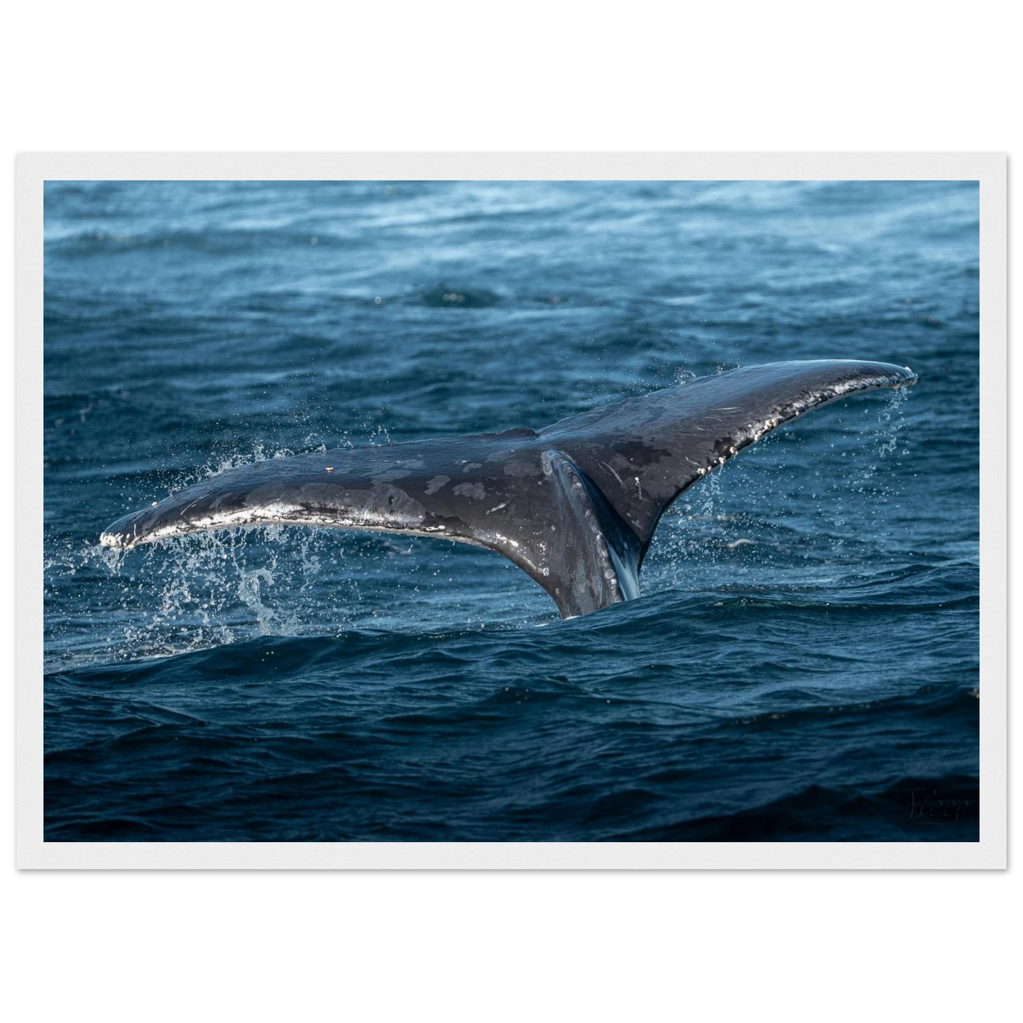 96195d16-6c02-4ef4-9f69-8931b11a778c