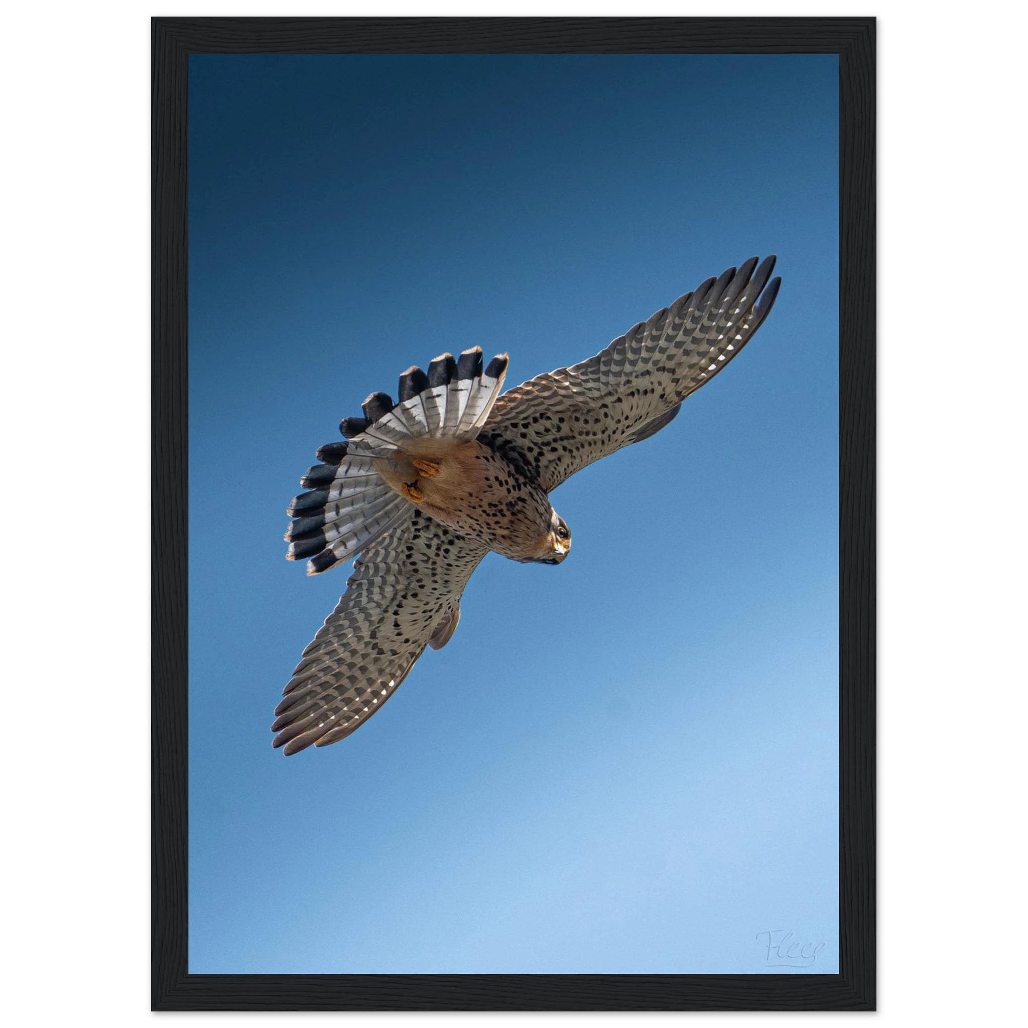 976c4c0f-a2dd-4a65-93b2-46872d6ca075