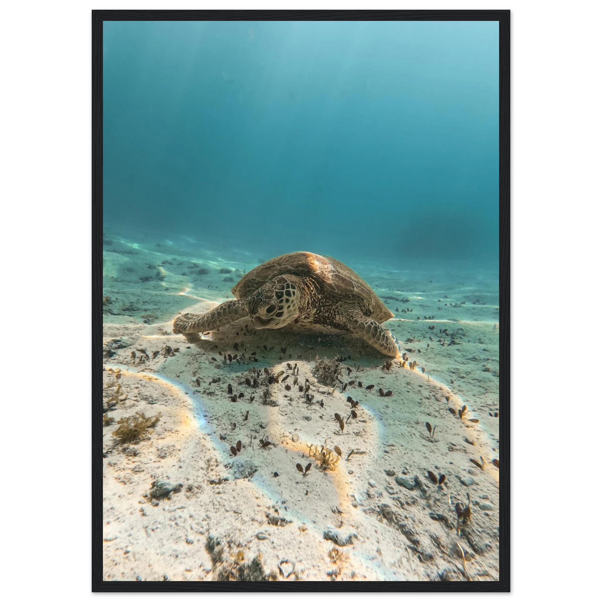 97994ee4-c6ab-443c-91a8-a53fcfb0cd6e