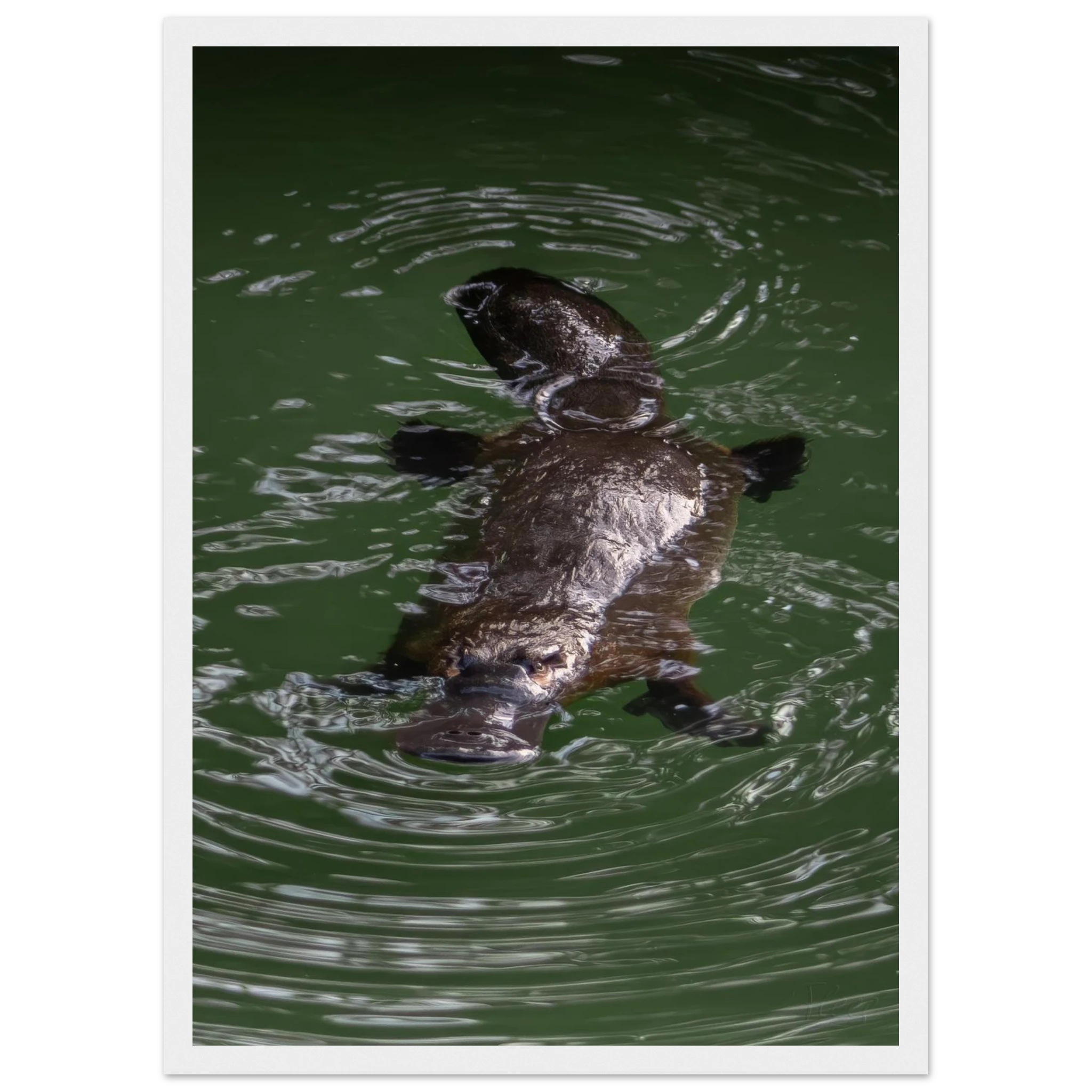 97a6a749-88ea-47f5-b7a4-ca95c8d76618