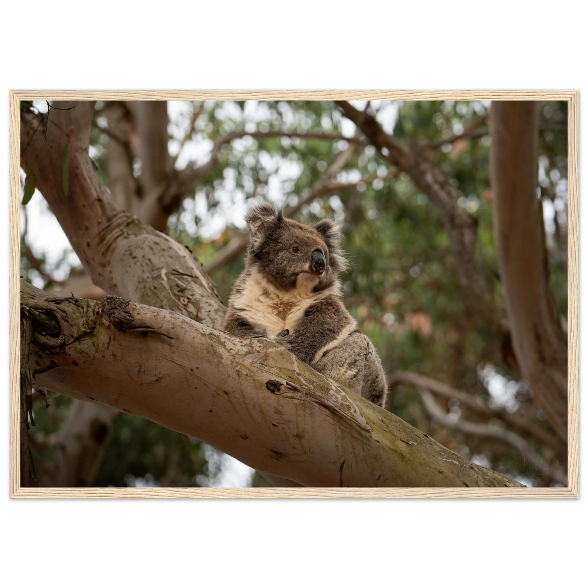 97ad7560-5343-4dd1-9a20-5eb5ff46a0d8