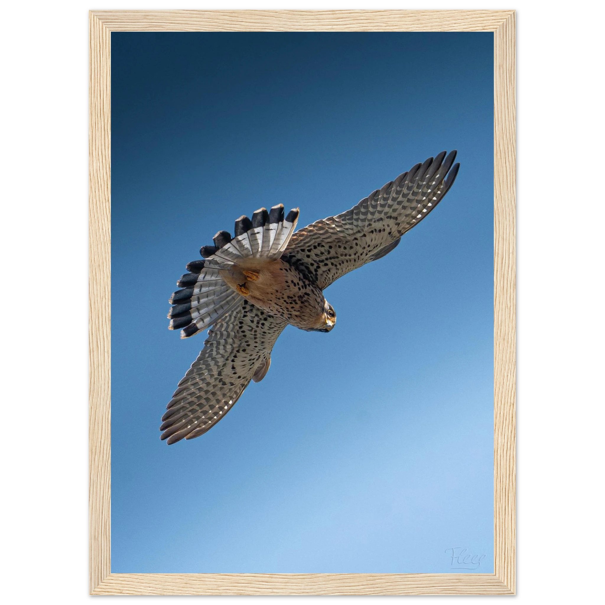 99f7d2d3-37dd-402e-99c6-080a90a55cfa