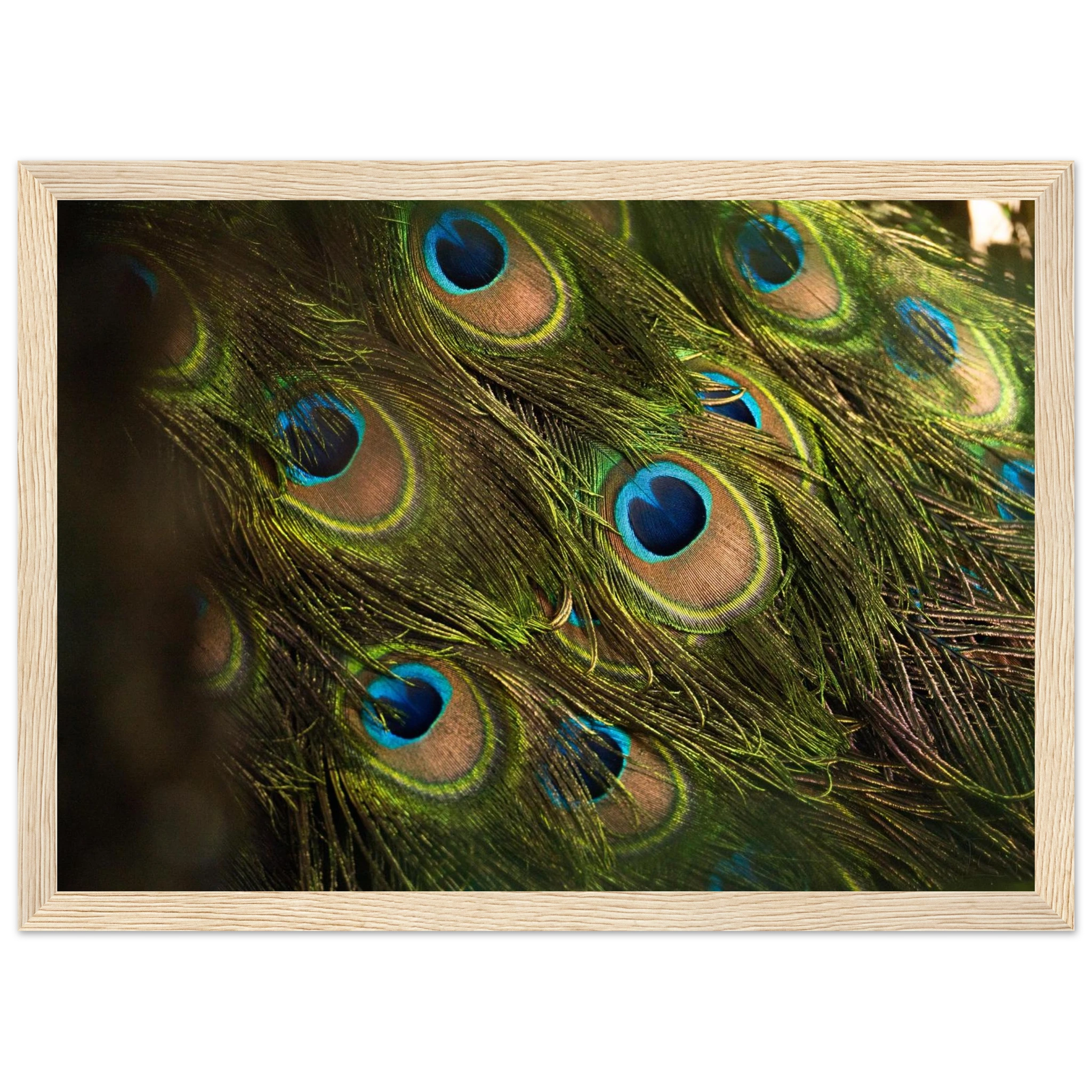 9a2079ca-fd87-452a-981e-34ea2fbce737