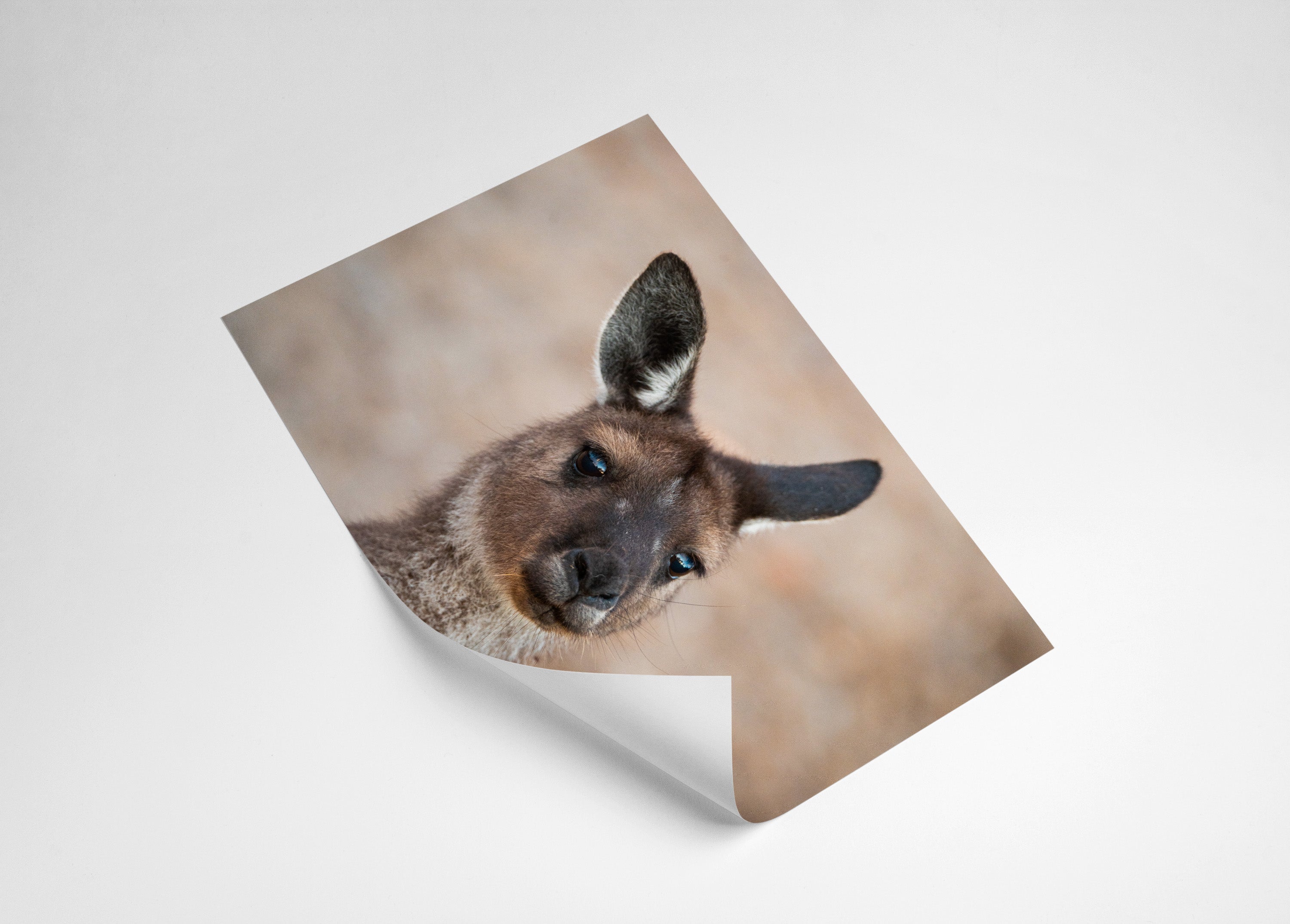 9ac537af-2d02-46b9-ba17-dad8afc95359