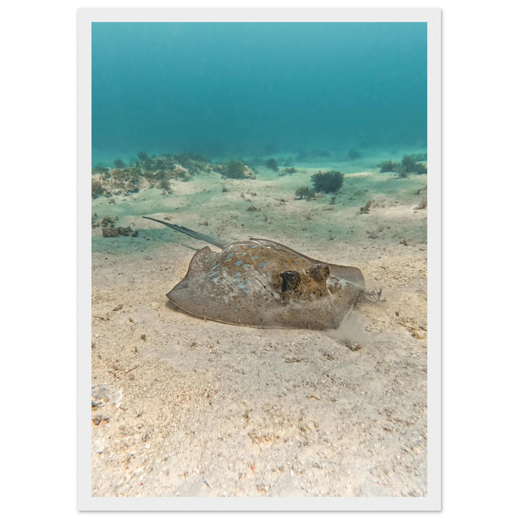 9aea3630-7360-48d9-9d0d-69994be3397a