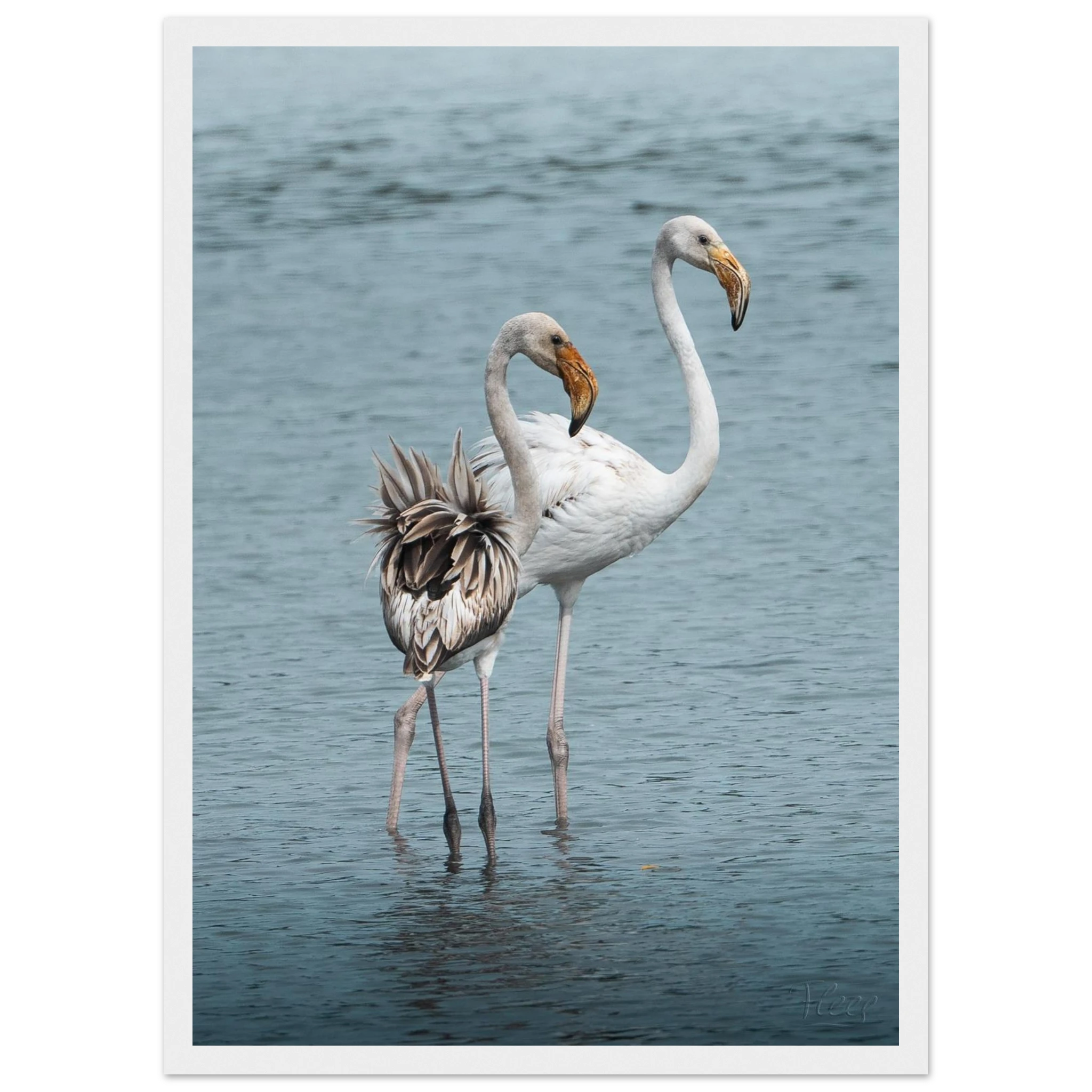 9b408ecc-b9f0-41cf-9911-8988fa94de24