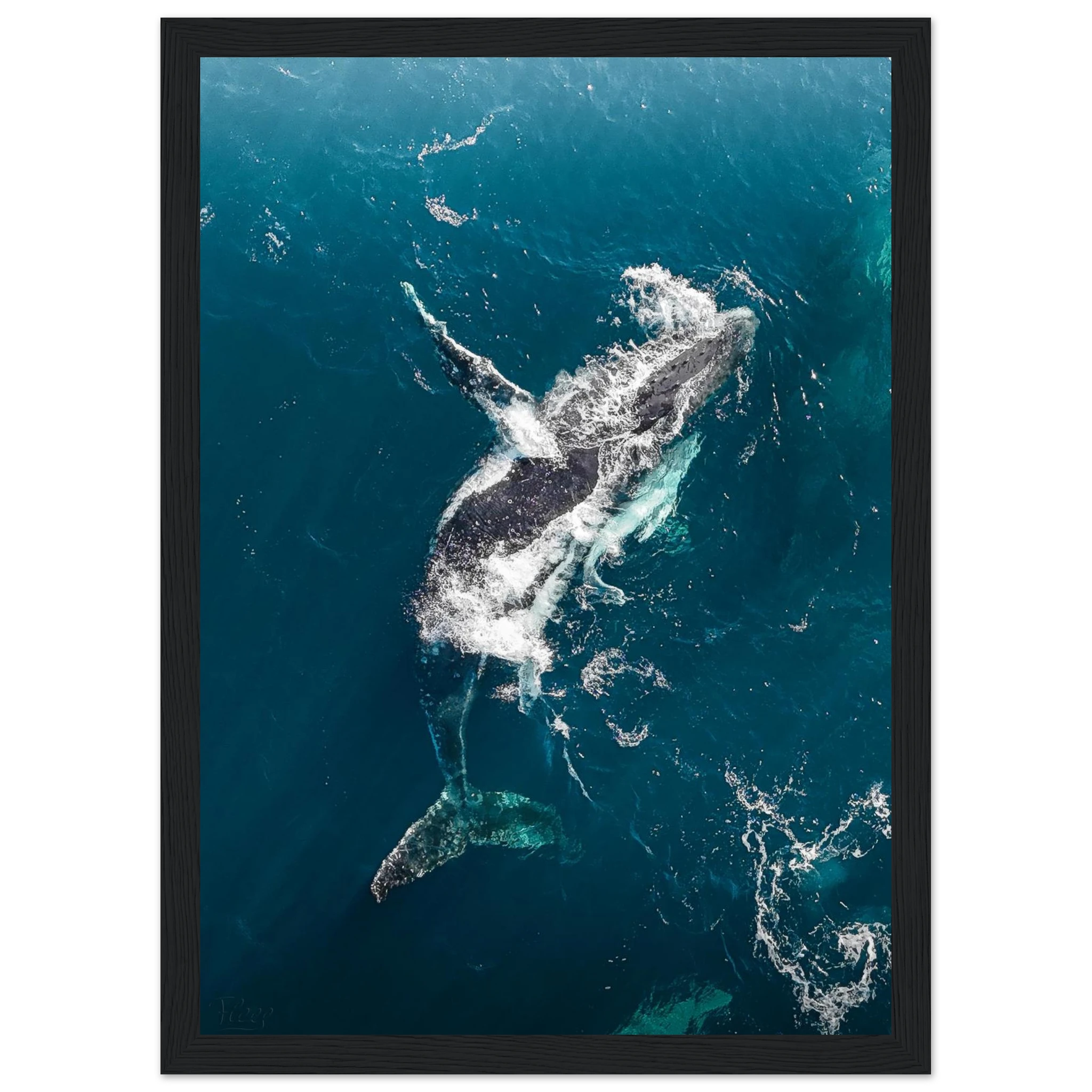 9b829b76-b93a-40d5-9678-6a964a9eaa18