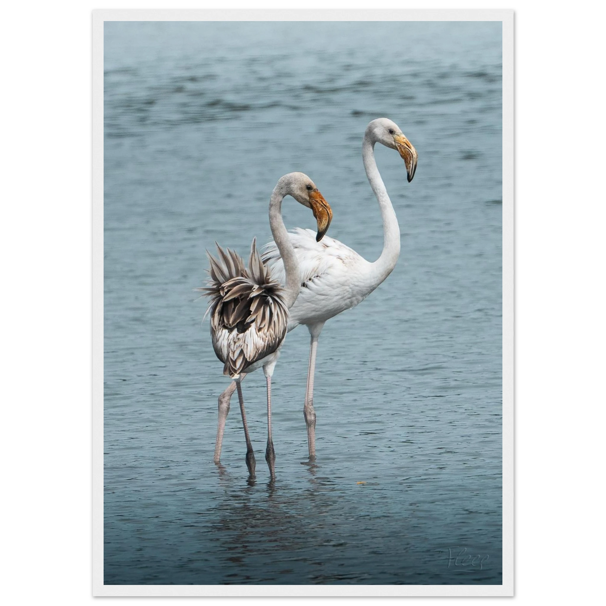 9bad4922-4d10-4a04-9827-b12c67d4be67