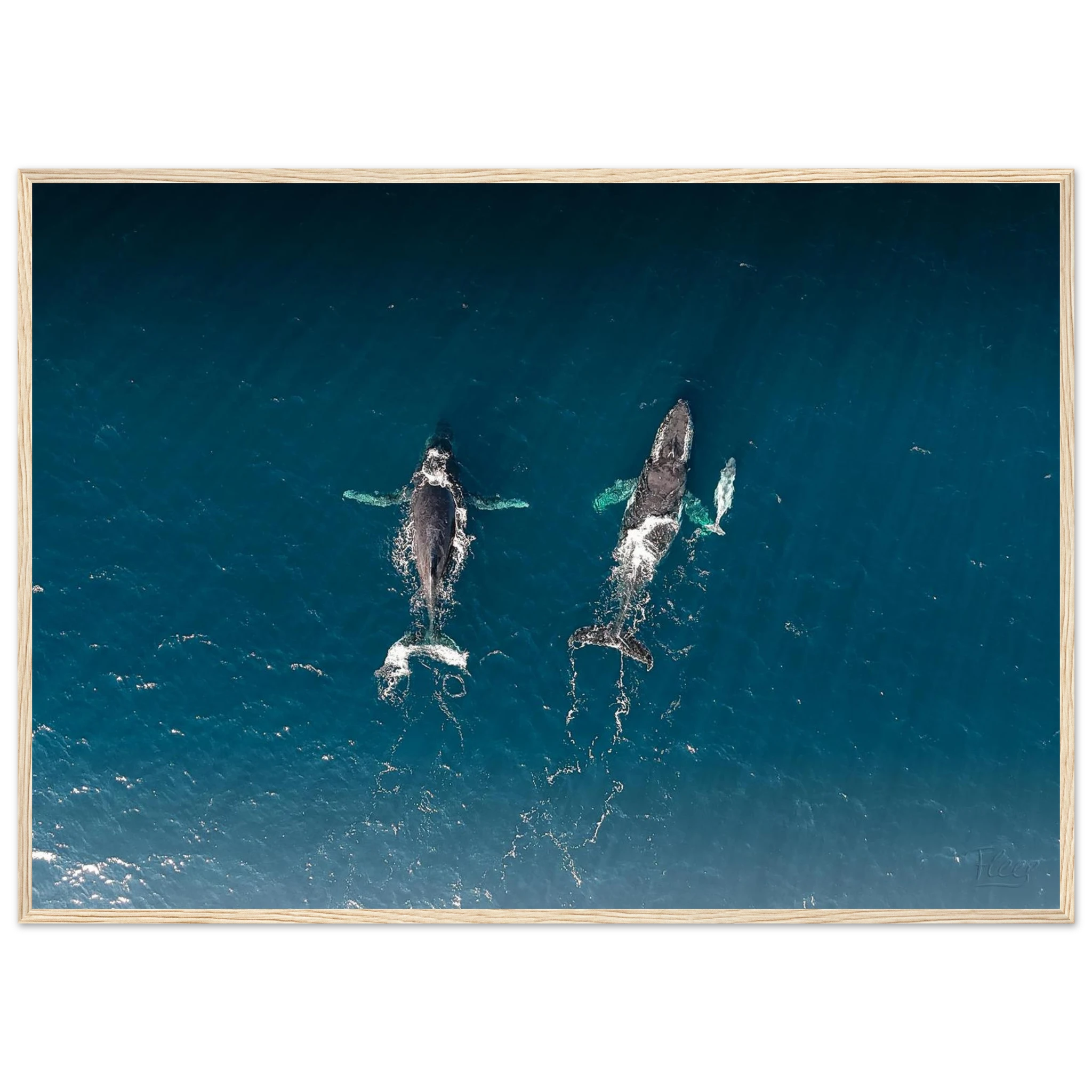 9bd10dbc-31a4-4e4c-bc19-c2a590a6cecf