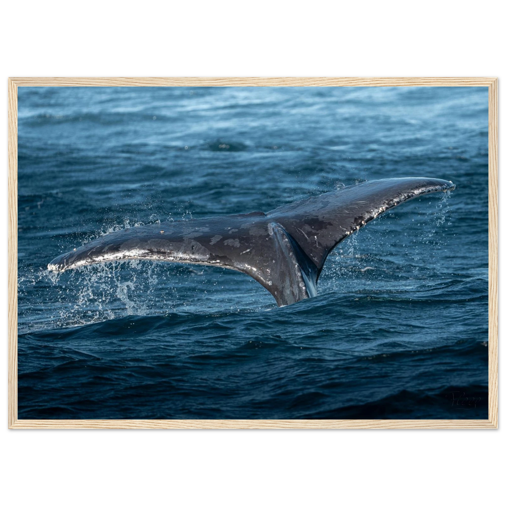 9c1d2fab-8403-4428-a21e-44a68a577d84