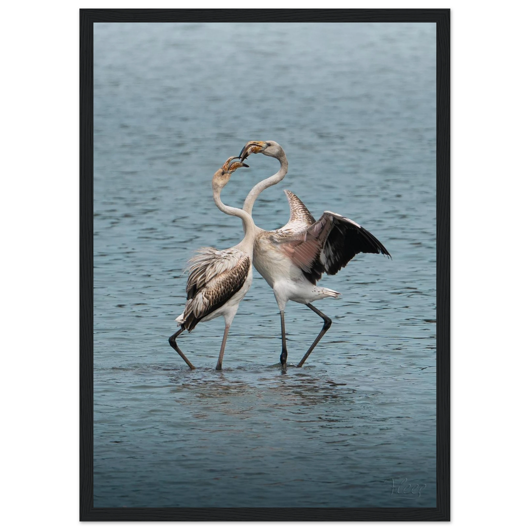 9c564c3a-9bb9-4761-95c2-2d2df106341a