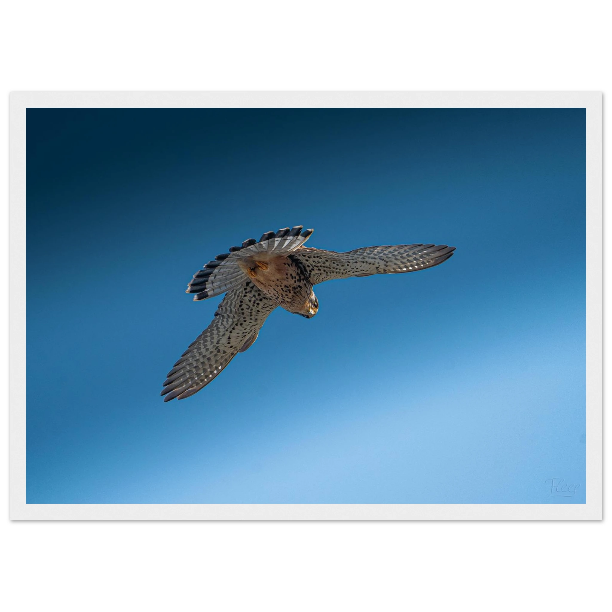 9cbc7fe0-9858-44c7-9d6f-a82d69557011