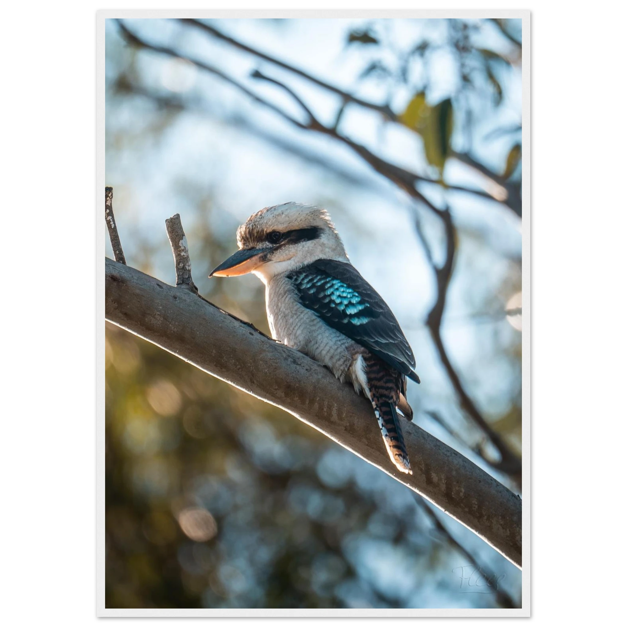 9d745229-af73-4cb4-9ce7-f99d07d3c447