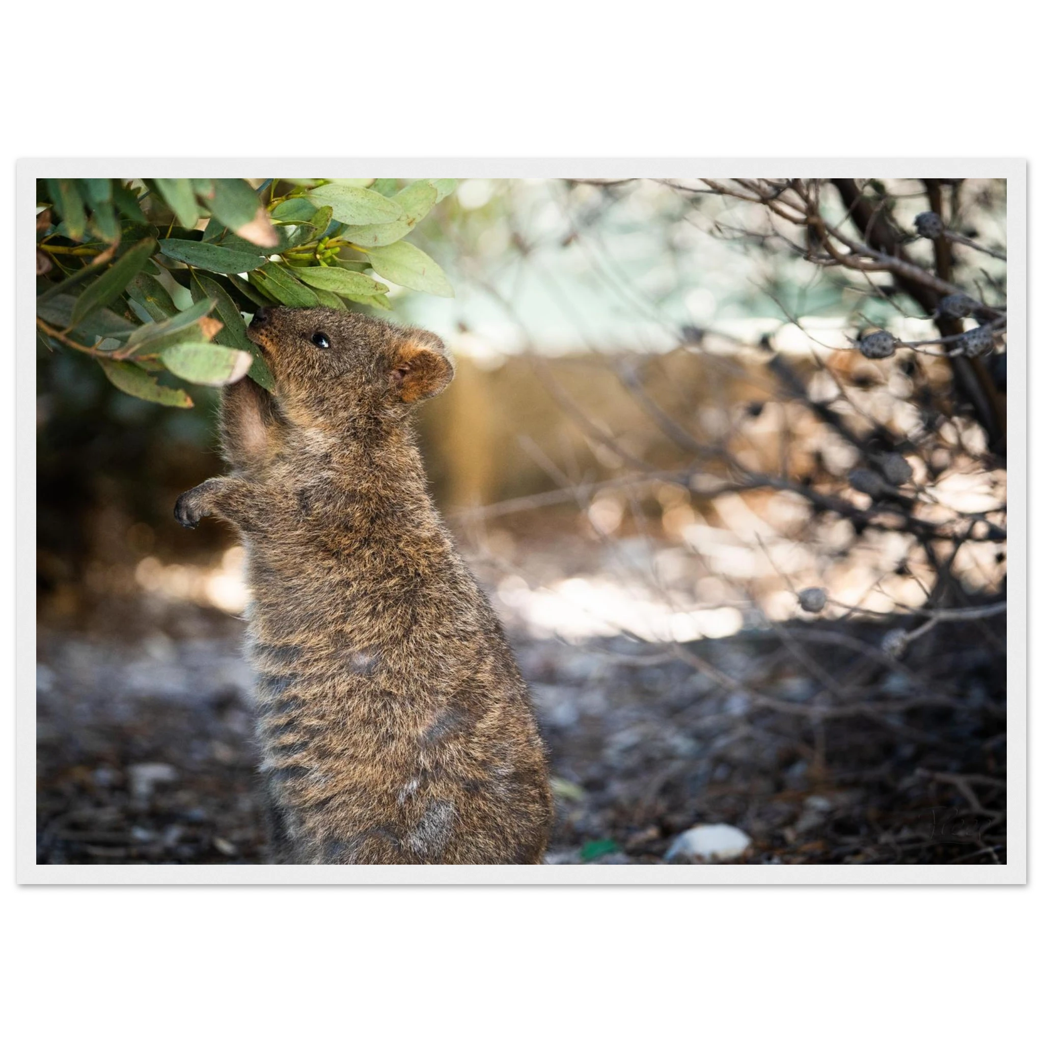 9dd6bf76-e552-44fc-8cc8-ecb3cd8b9d00